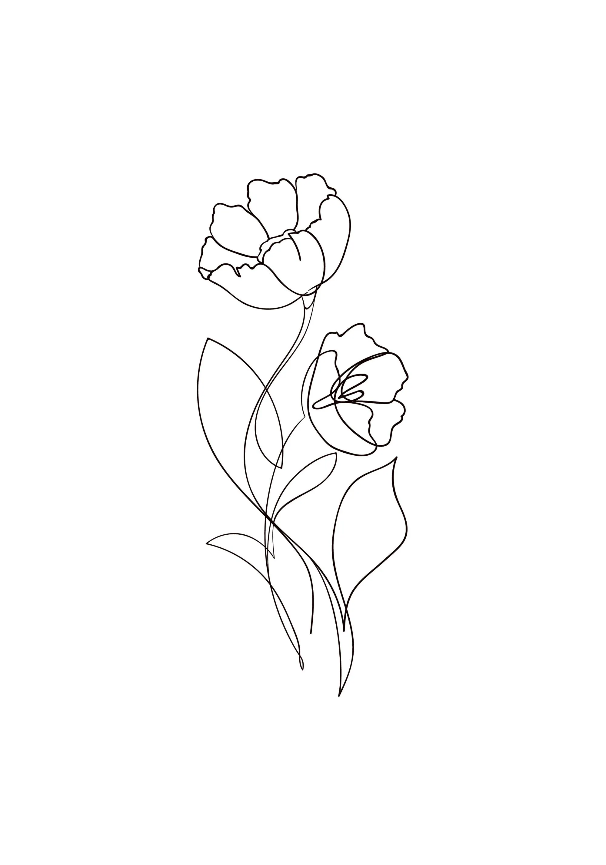 Flower Lines No1 Poster – Minimalistische Blumenzeichnung
