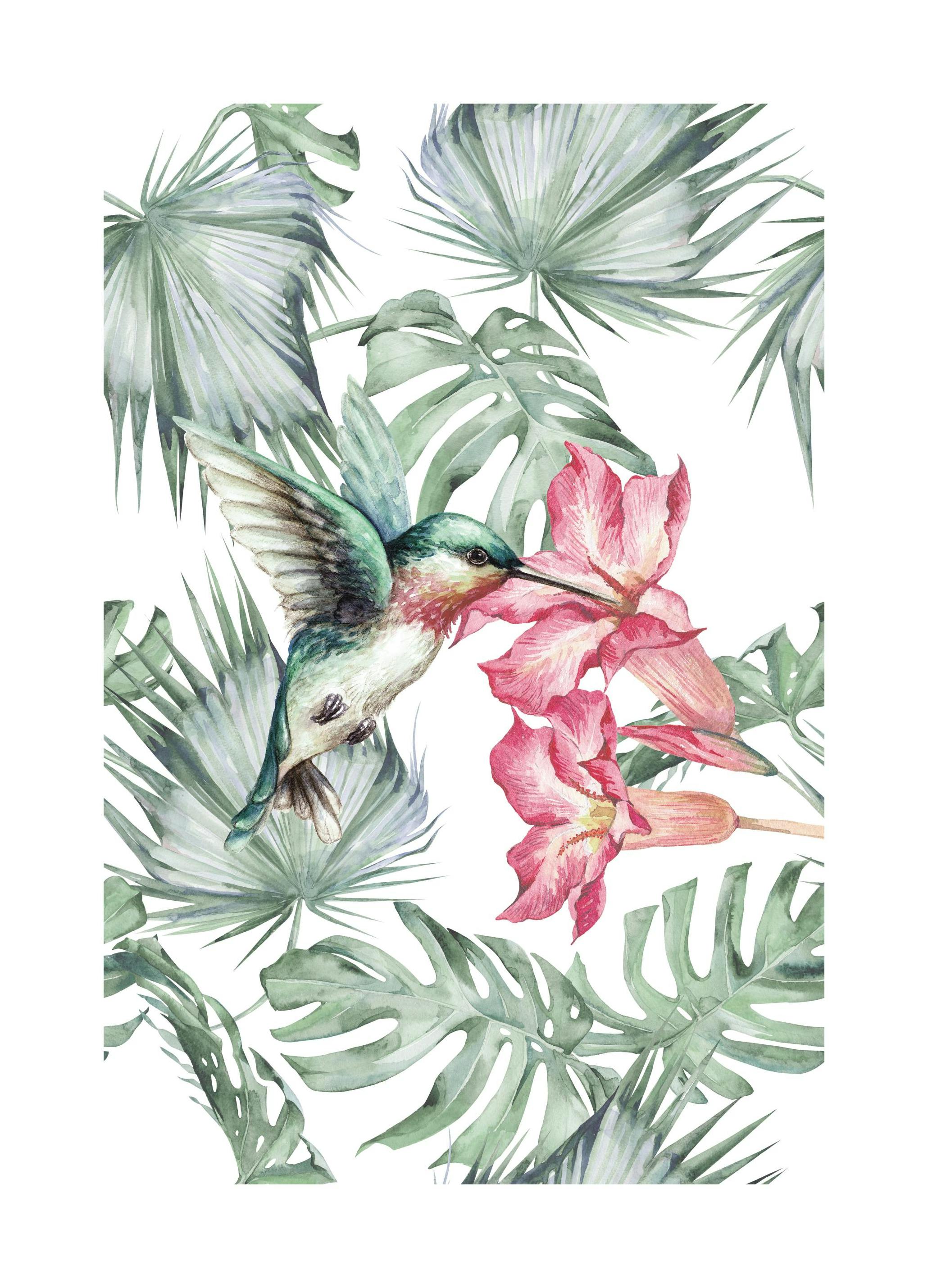 Tropical Bird No1 Print (50x70 cm)