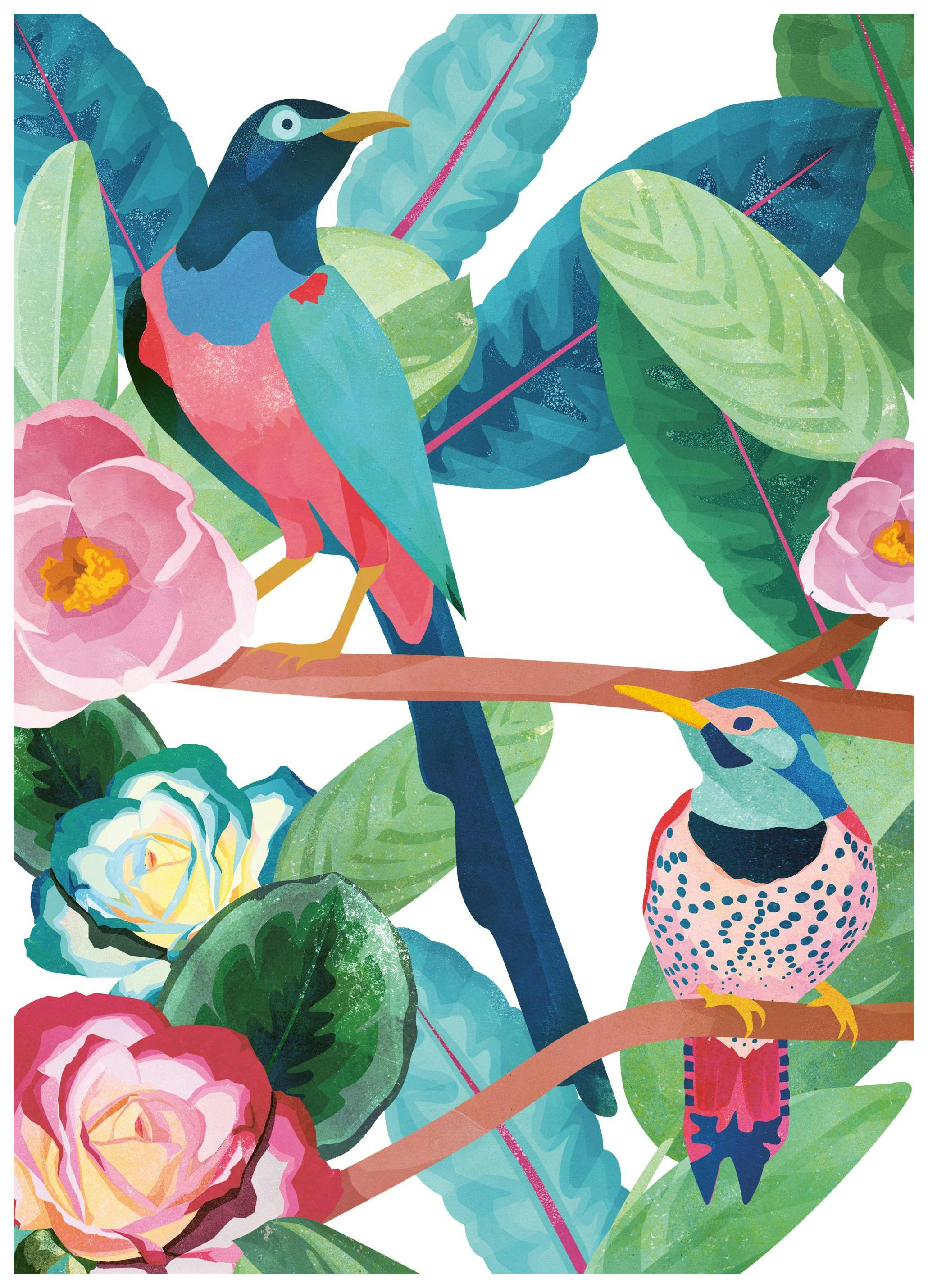 Birds of Paradise Print (50x70 cm)