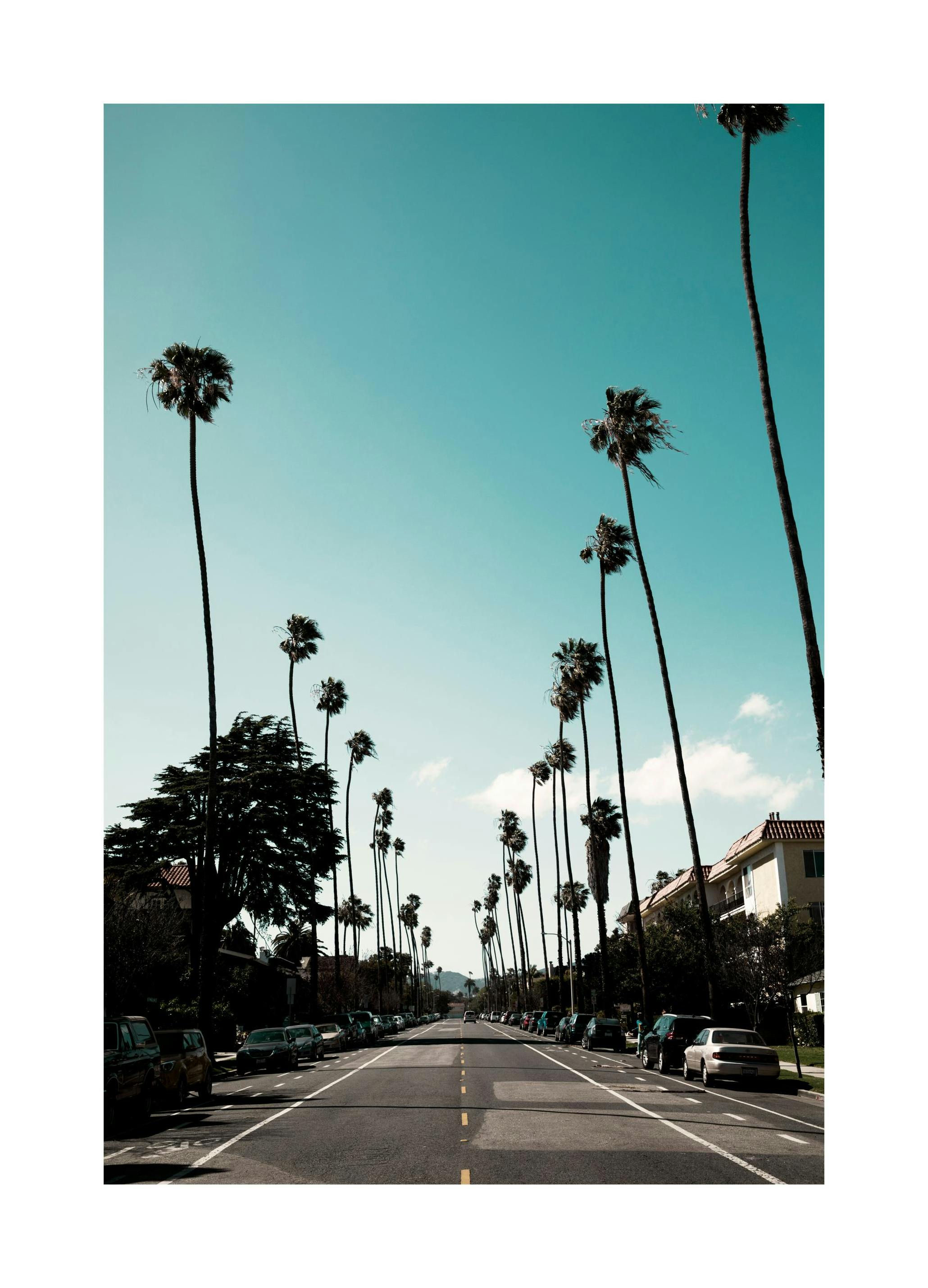 Street of Los Angeles Affiche (50x70 cm)