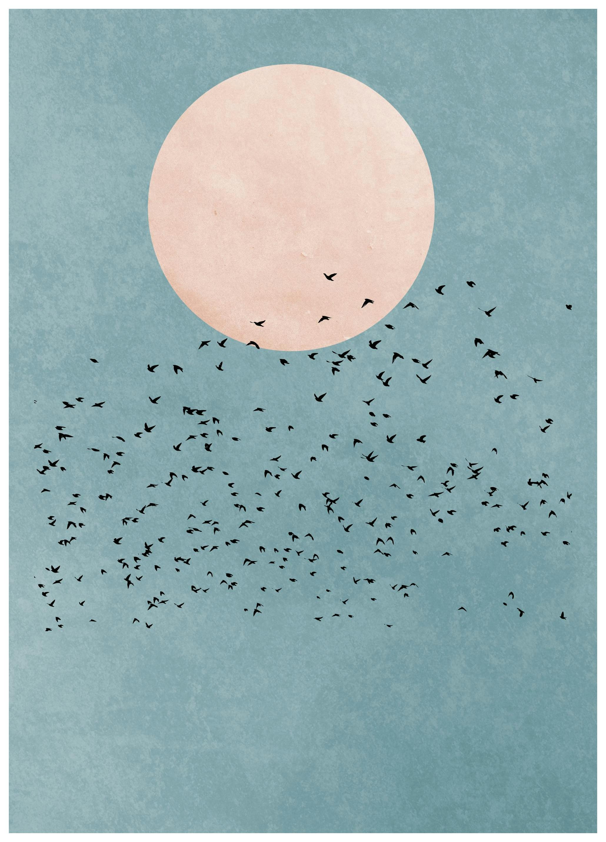 Boris Draschoff / Kubistika - Birds Fly Away Poster (30x40 cm) - Grafische posters