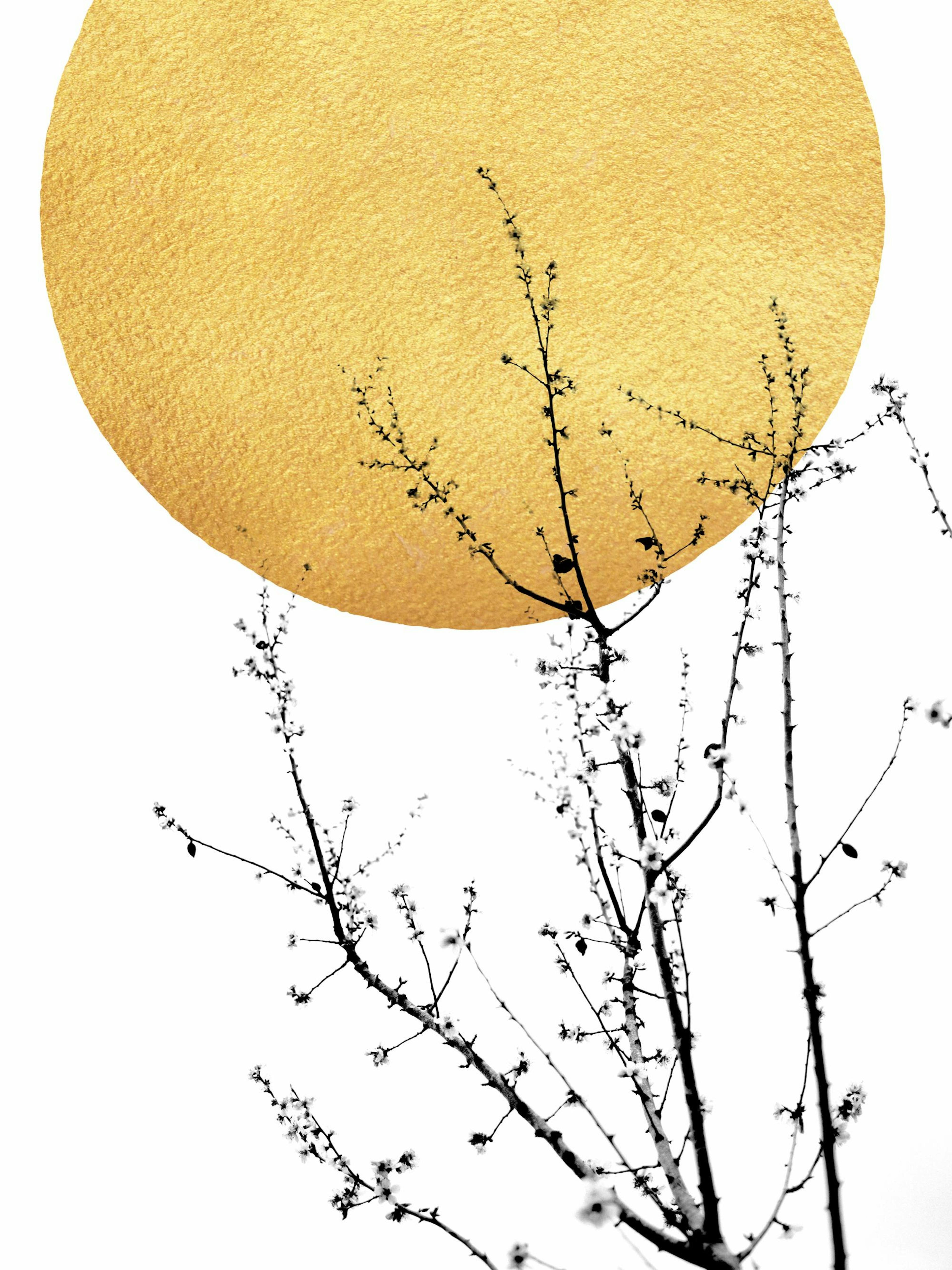 Product image: 1