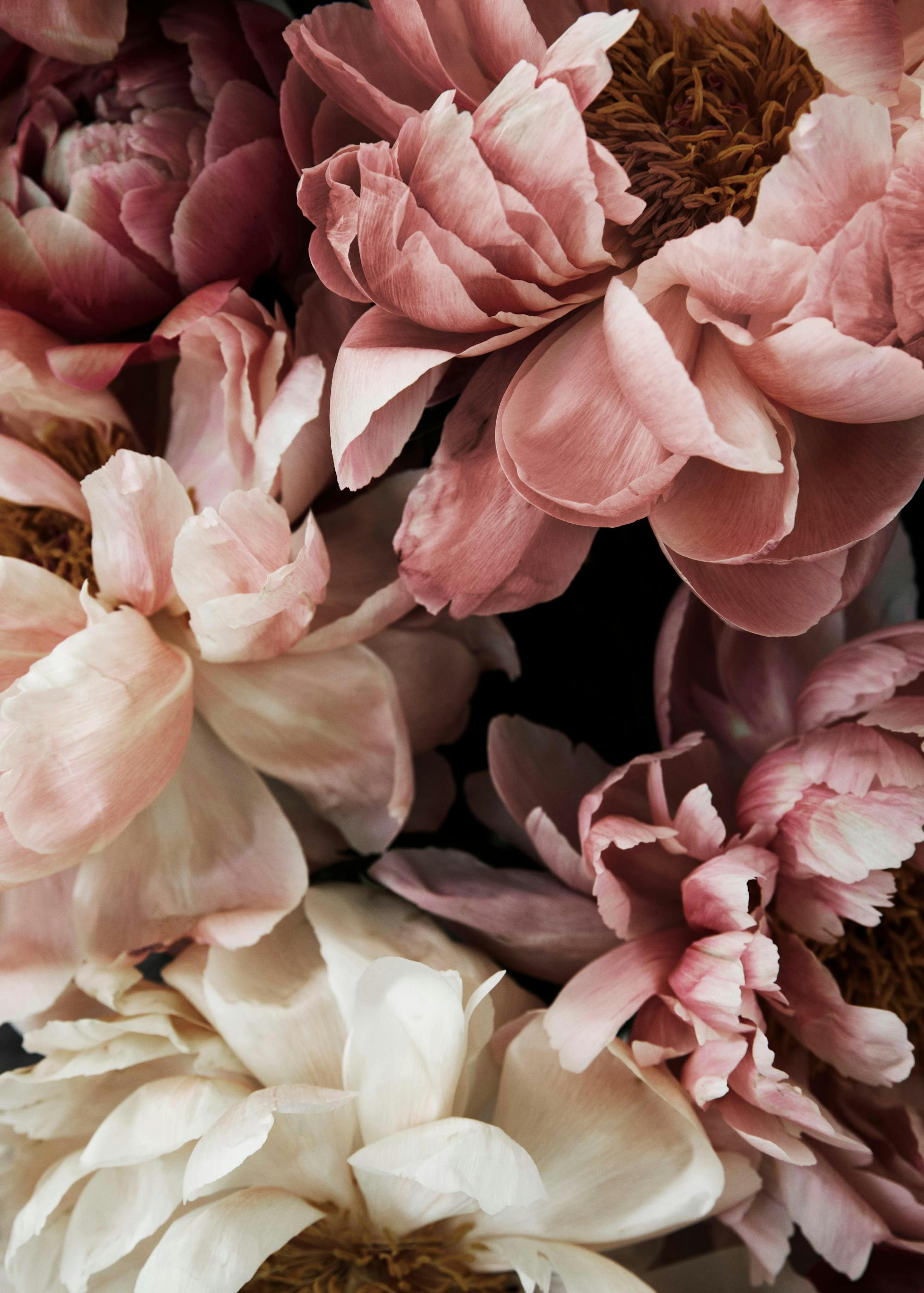 Flower Wall Poster 0