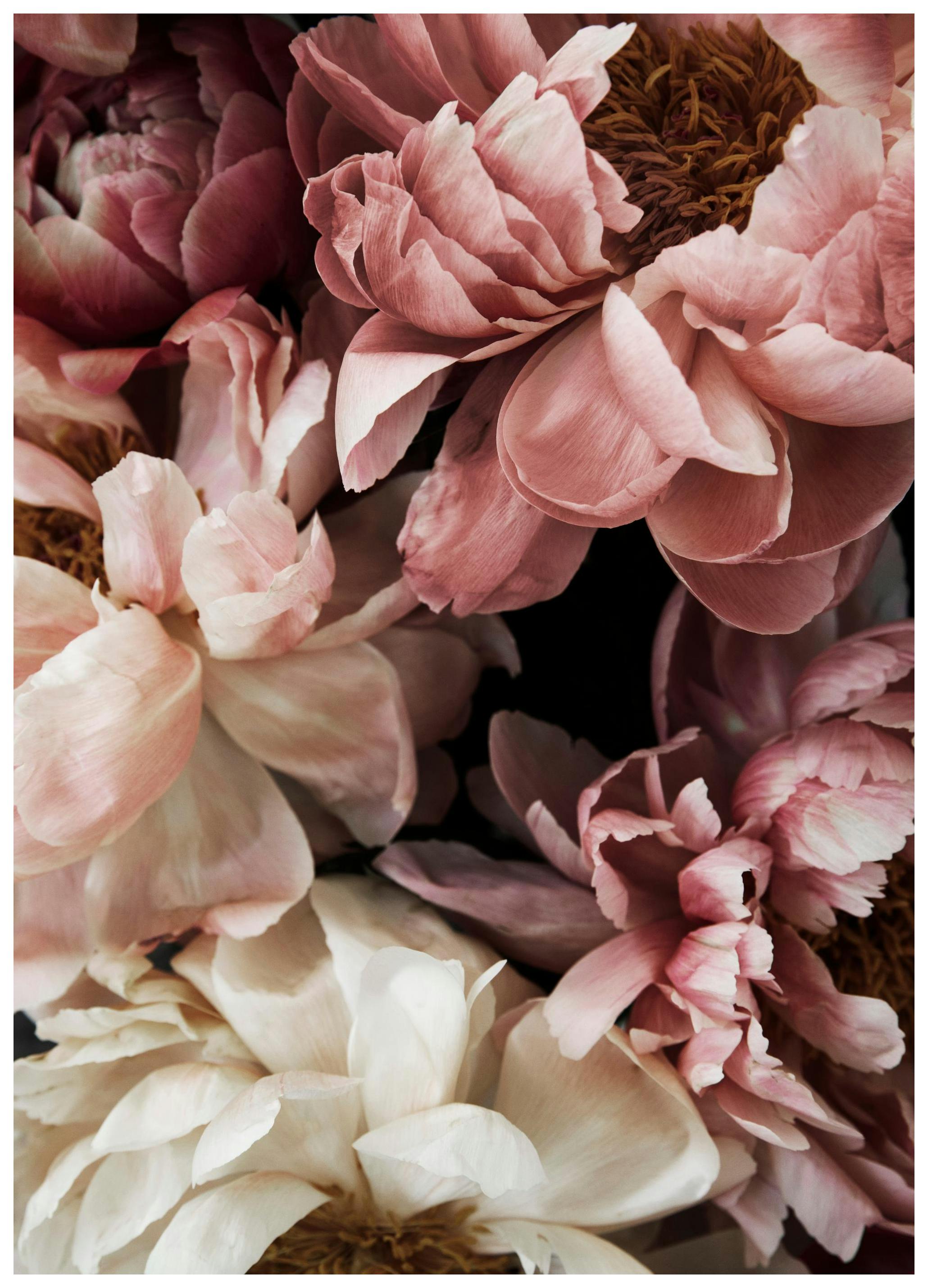 Flower Wall Poster (100x150 cm)