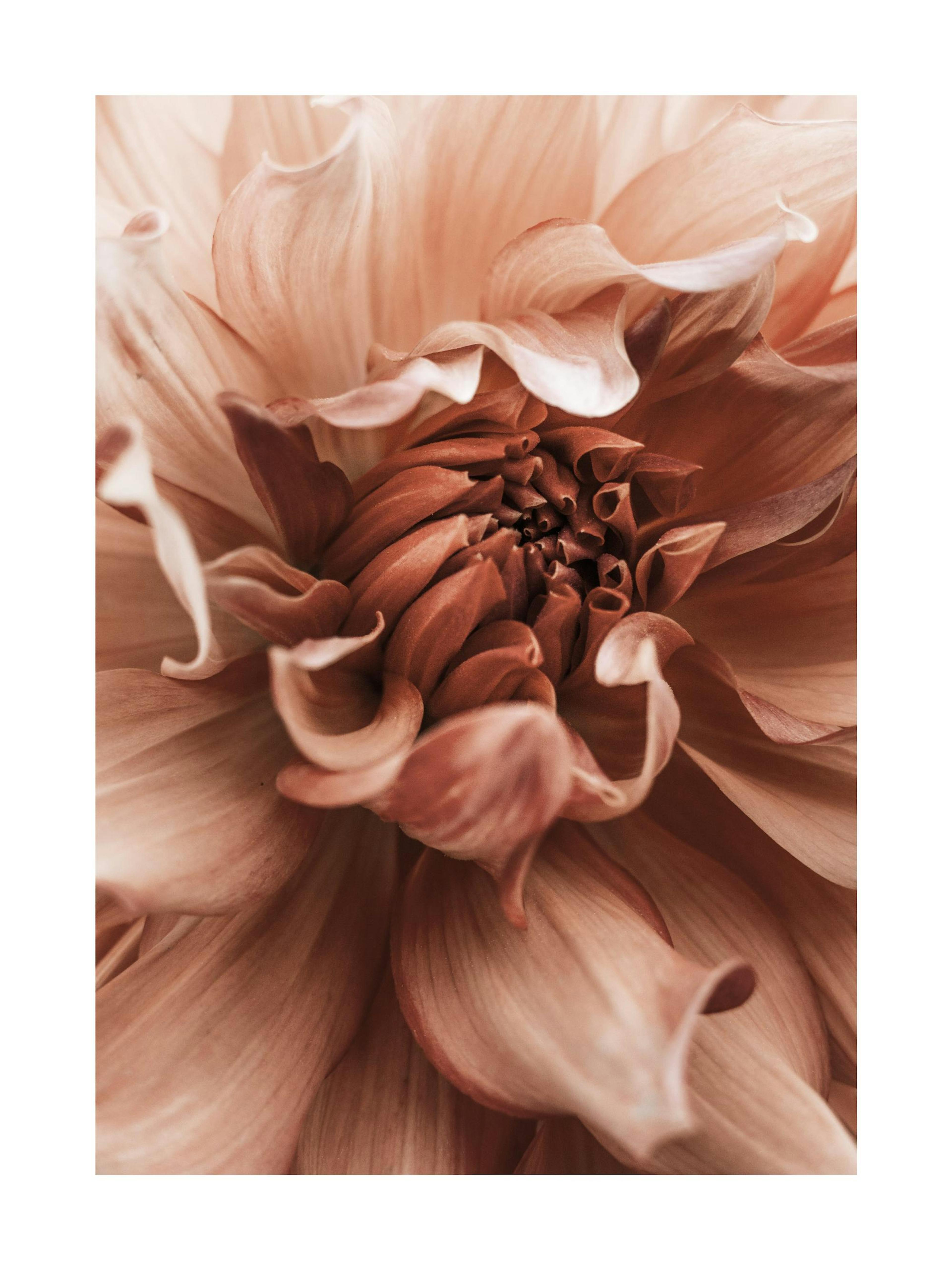 Product image: 1