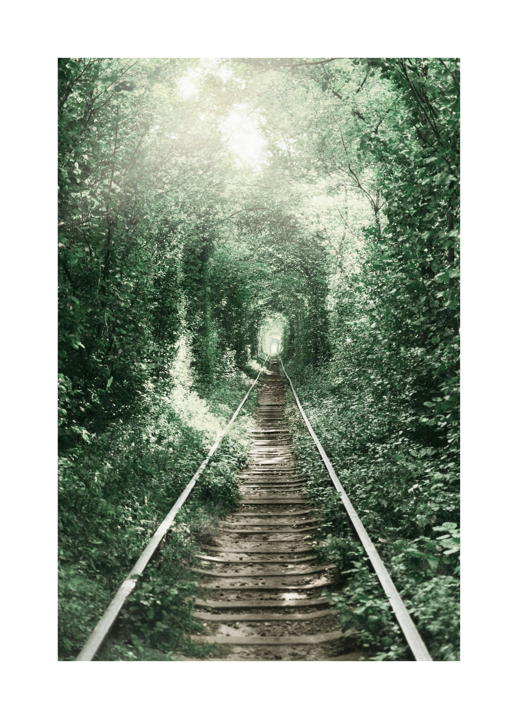 Forest Tunnel Poster (50x70 cm)