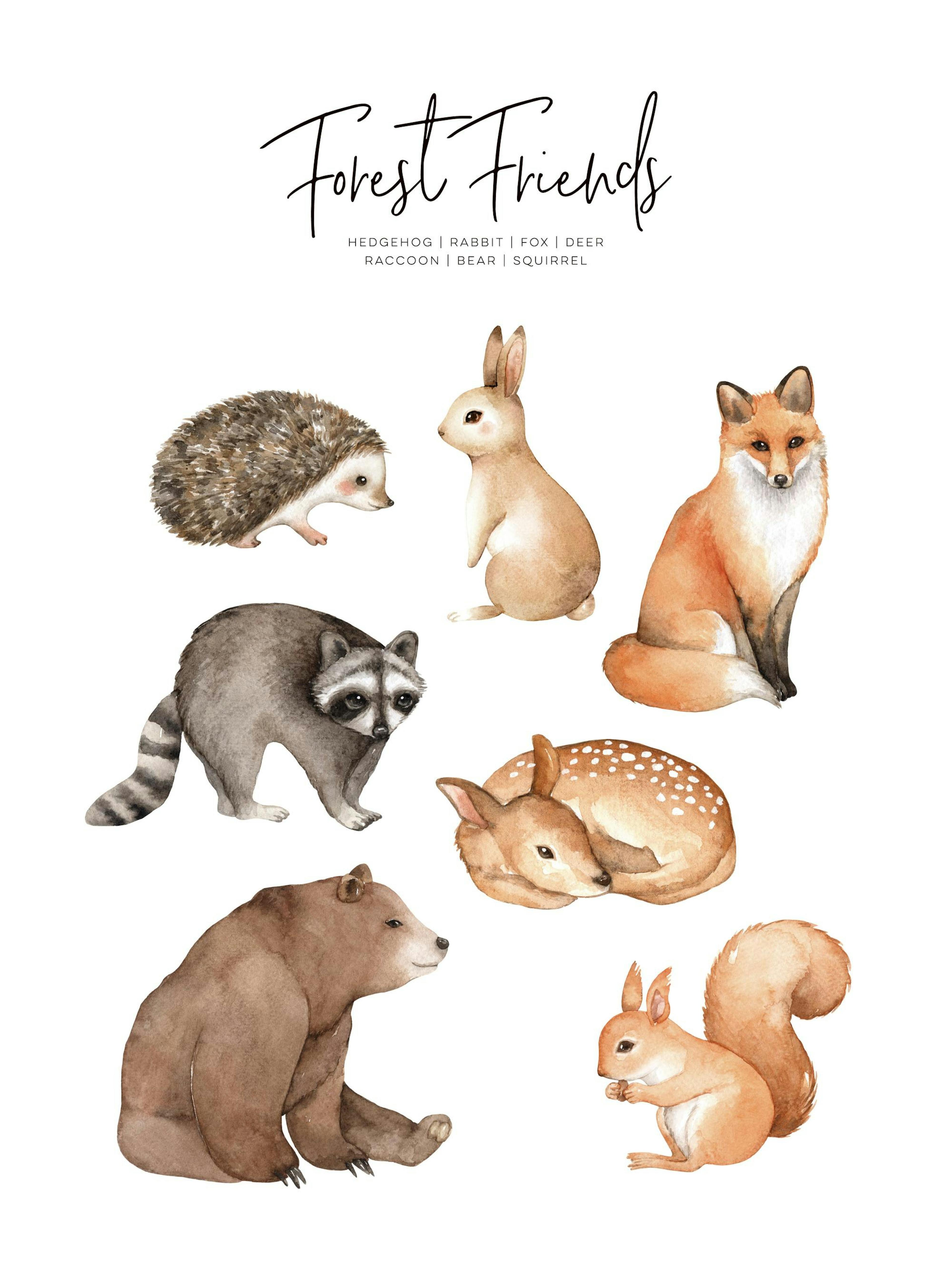 Póster de animales del bosque en acuarela: erizo, conejo, zorro, ciervo, mapache, oso, ardilla; estilo infantil
