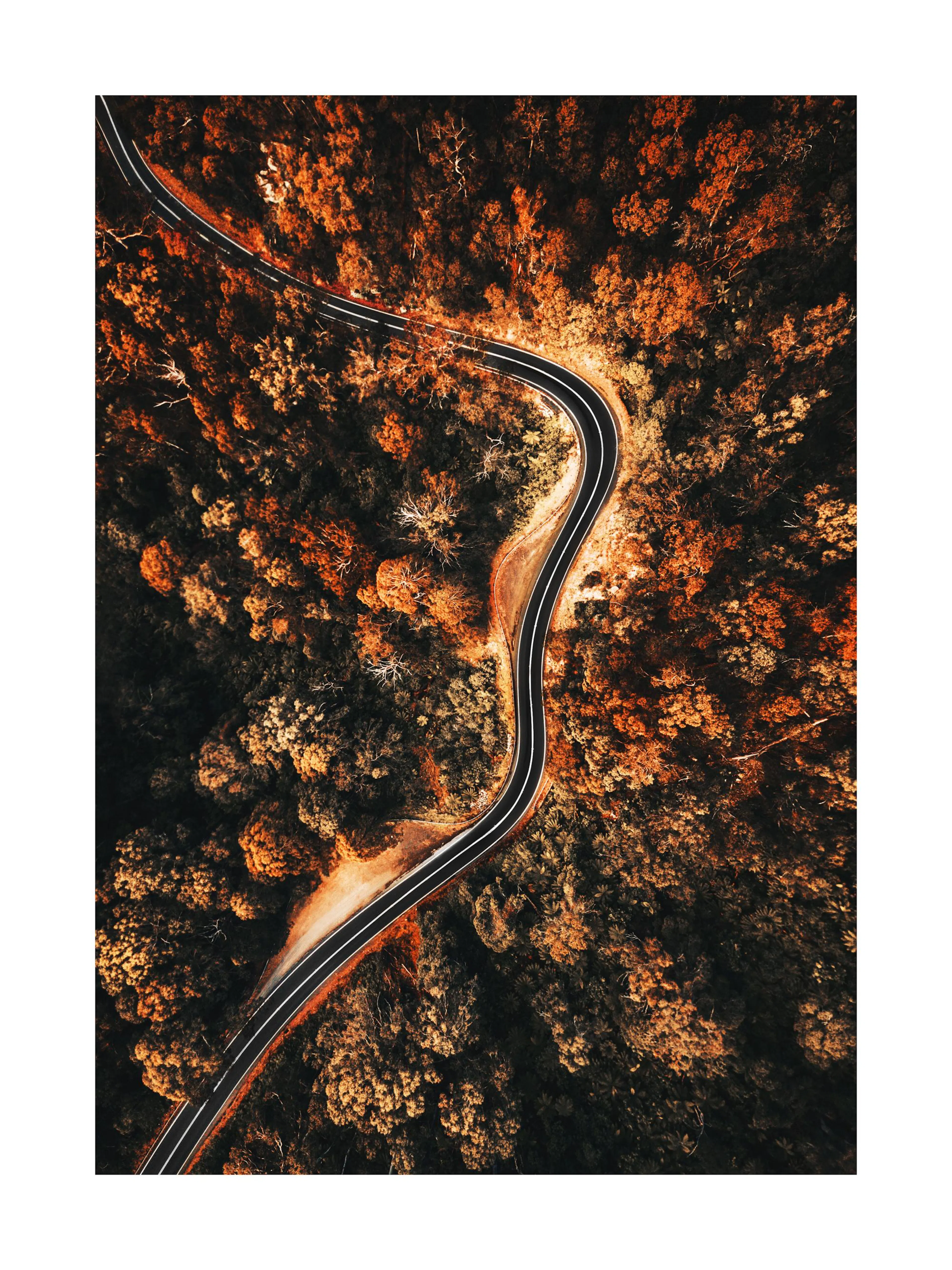 Póster de vista aérea de estrada sinuosa através de floresta de outono com folhagem laranja e castanha.