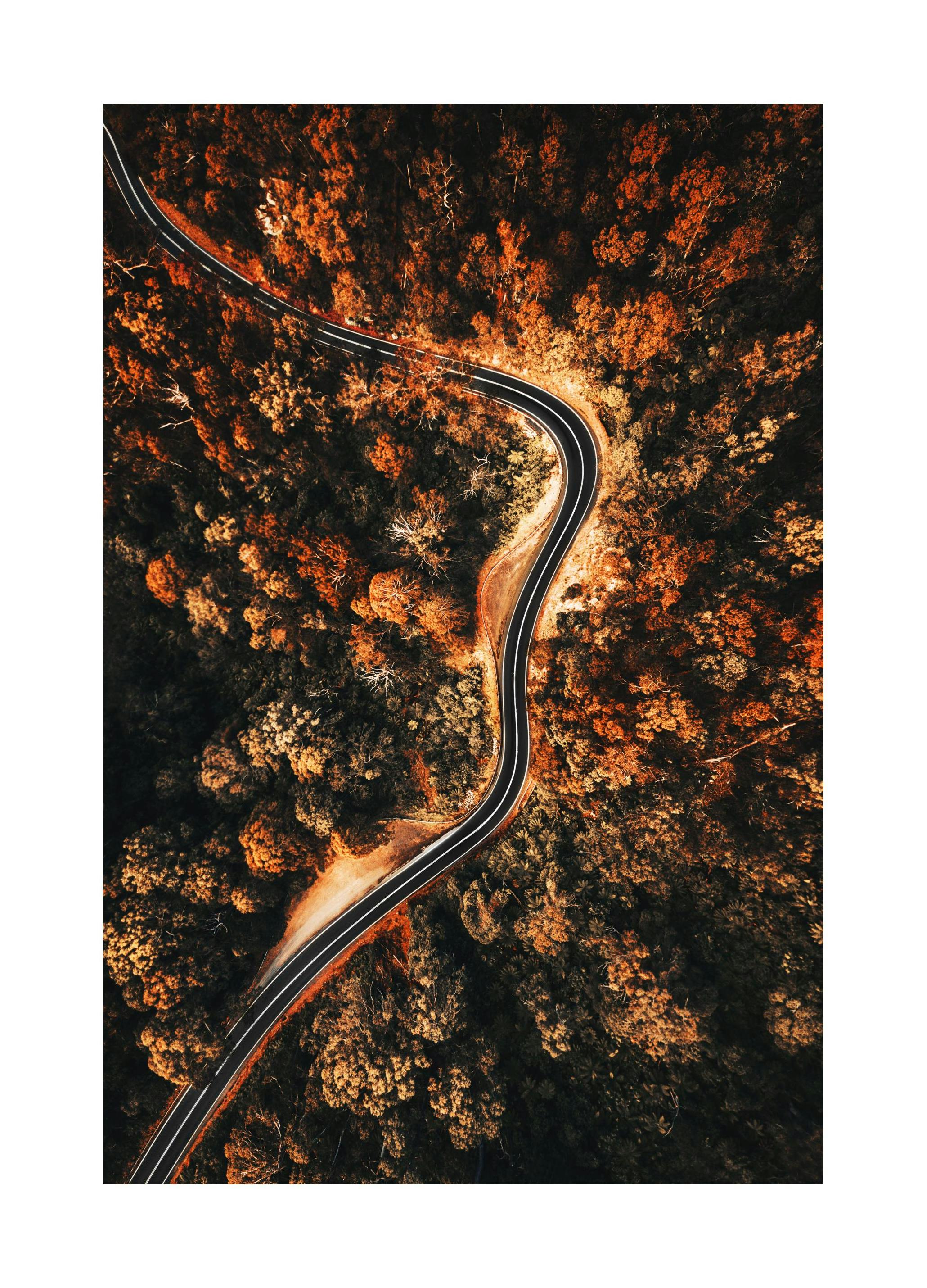 Autumn Aerial View Poster (30x40 cm)