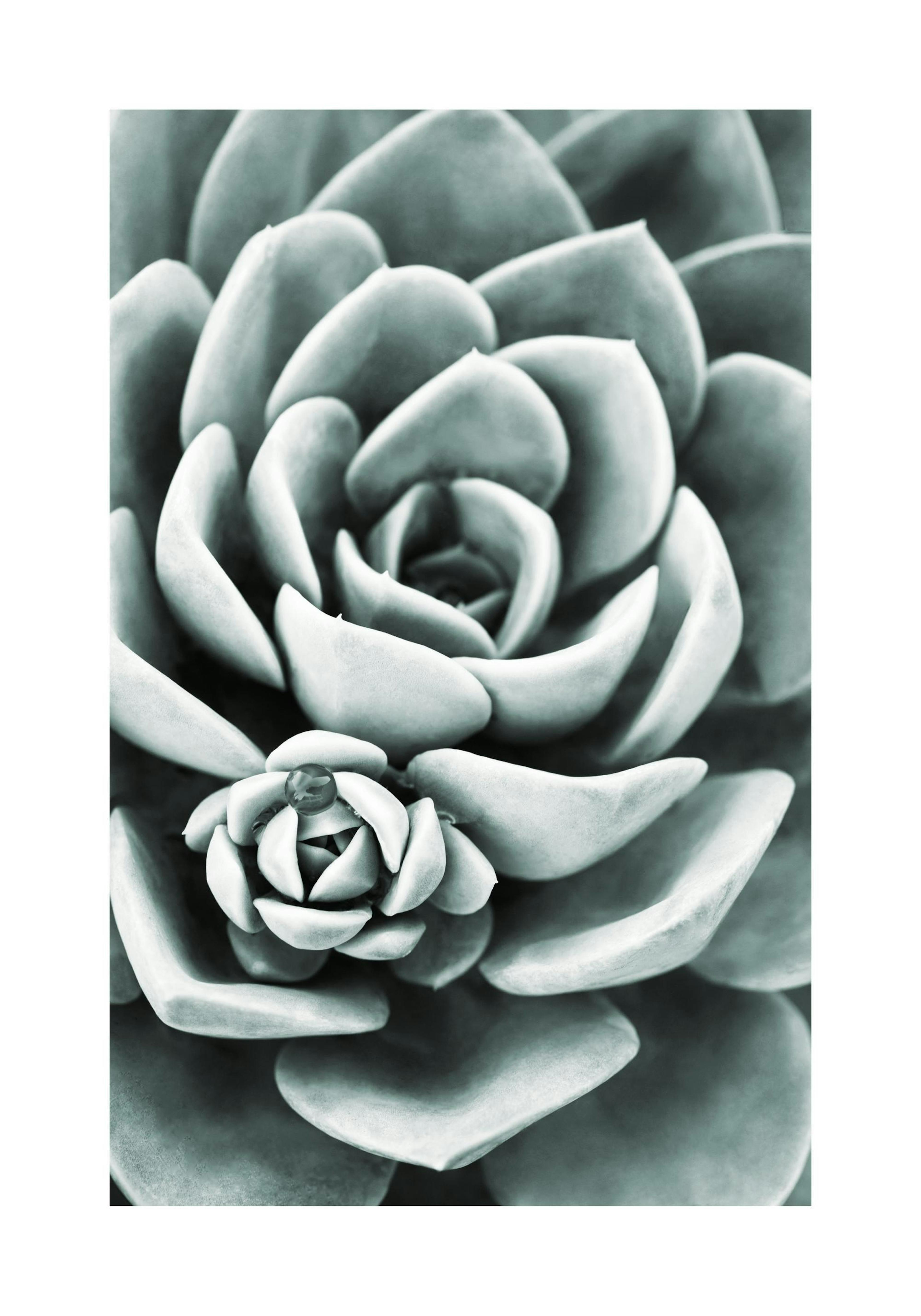 Product image: 1