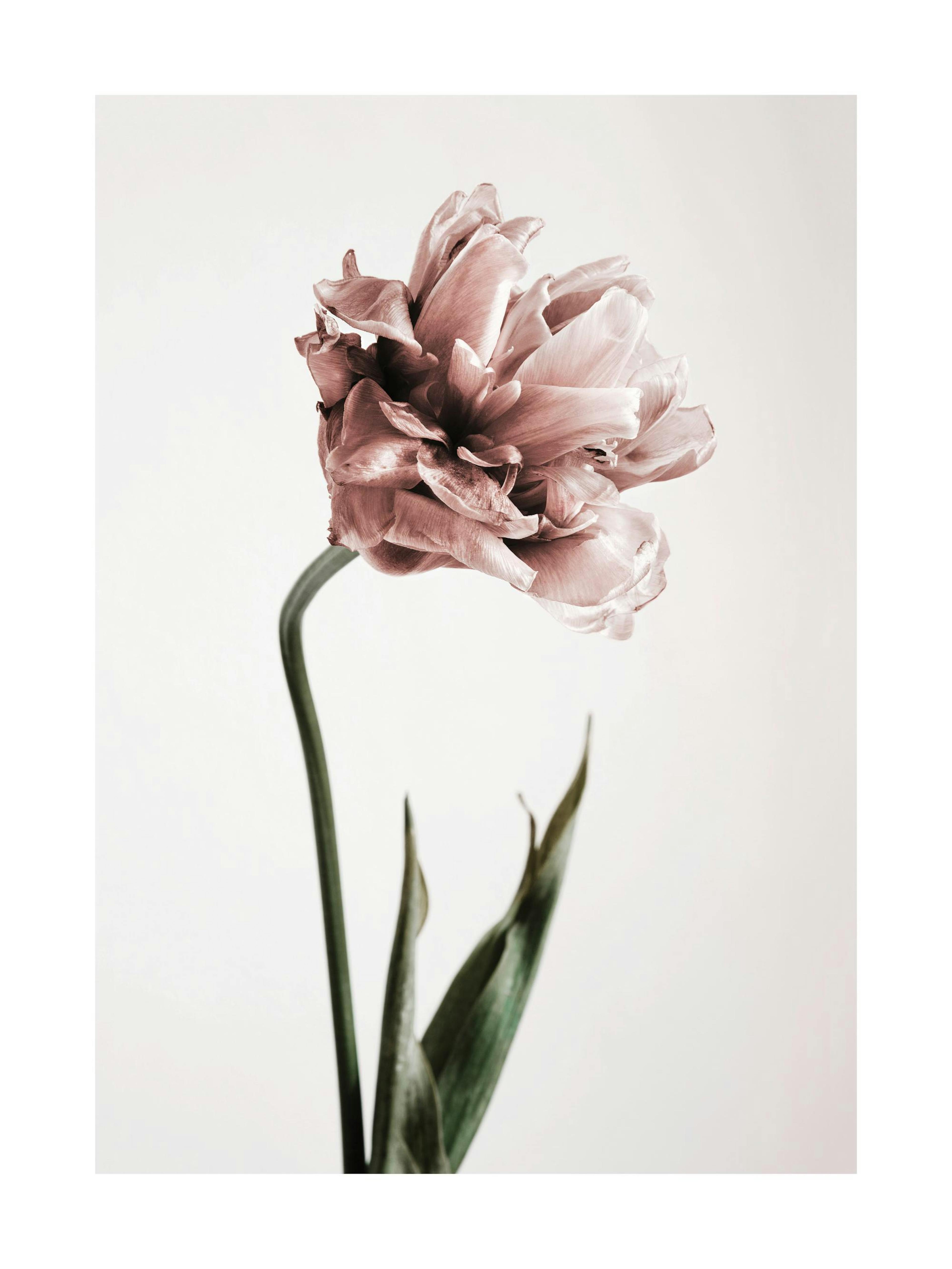 Product image: 1