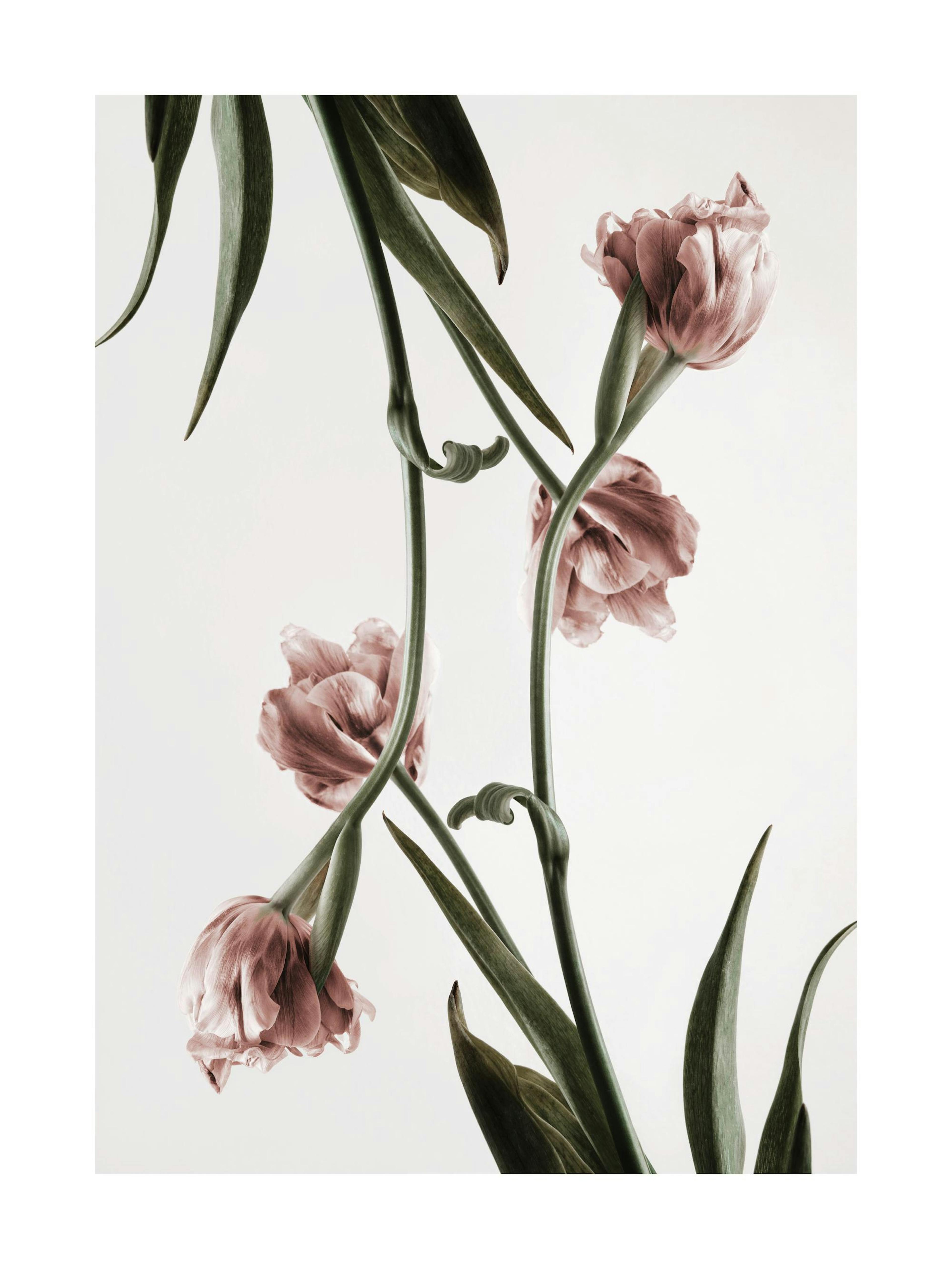 Product image: 1