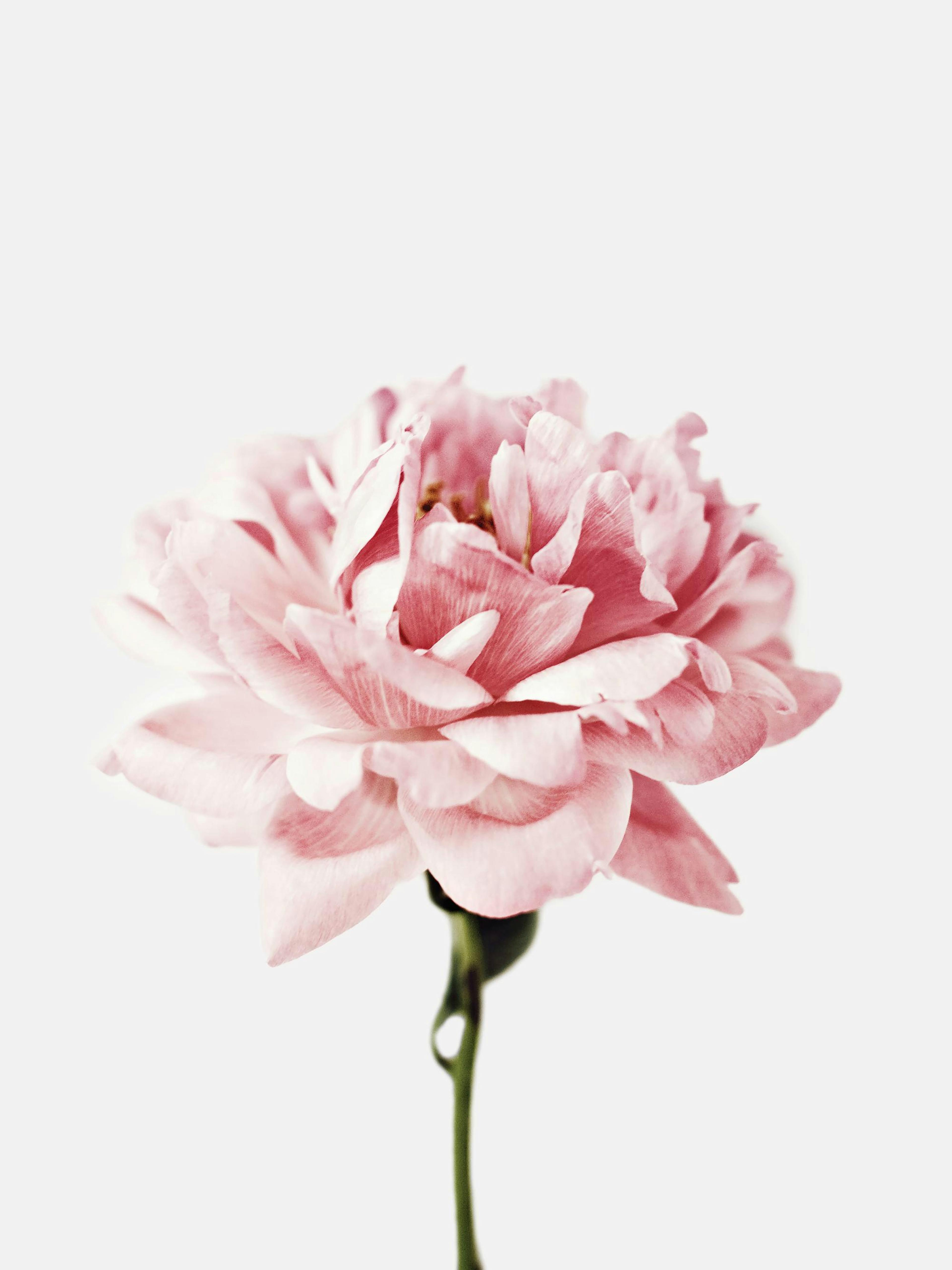 Product image: 1