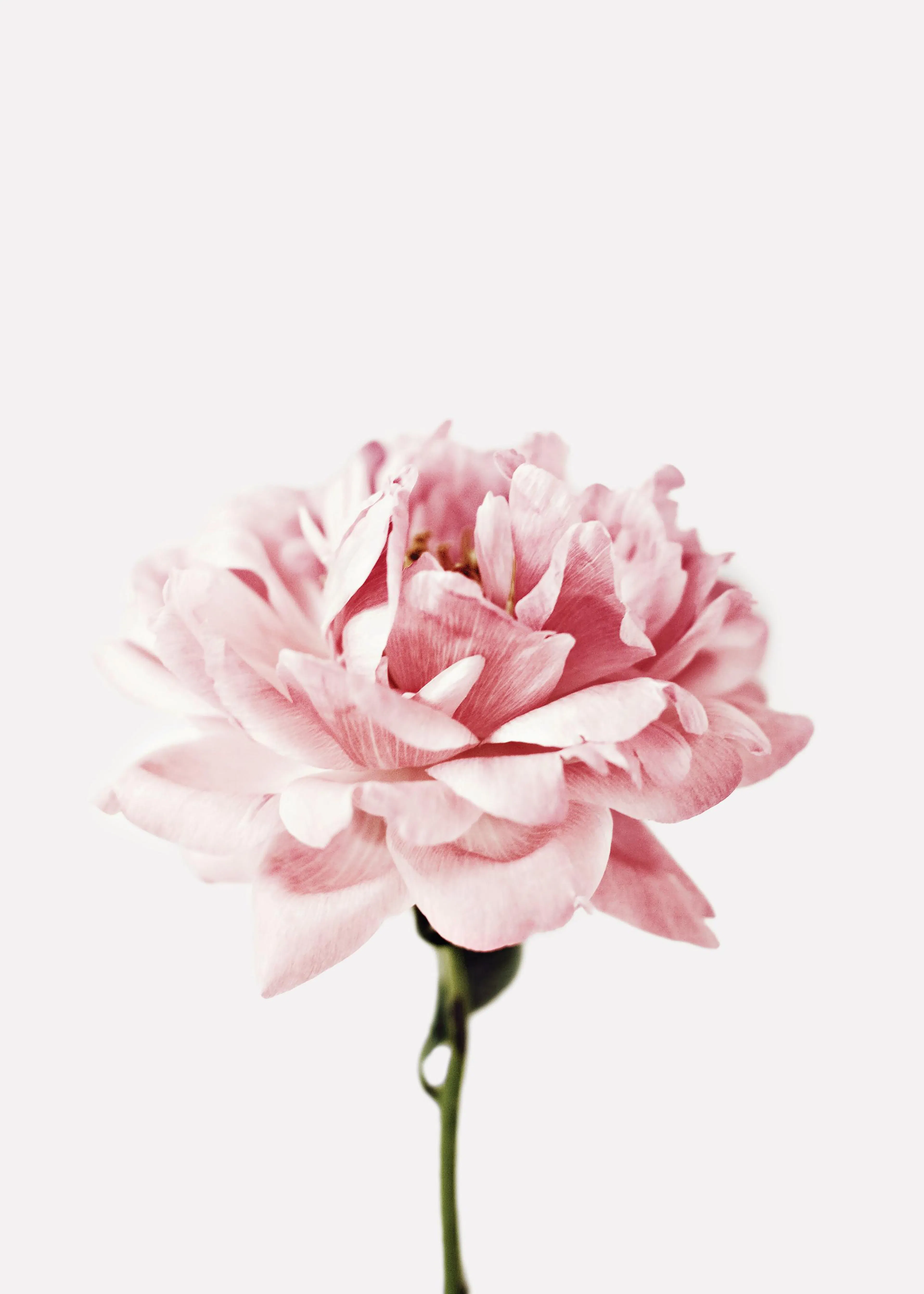 Product image: 1