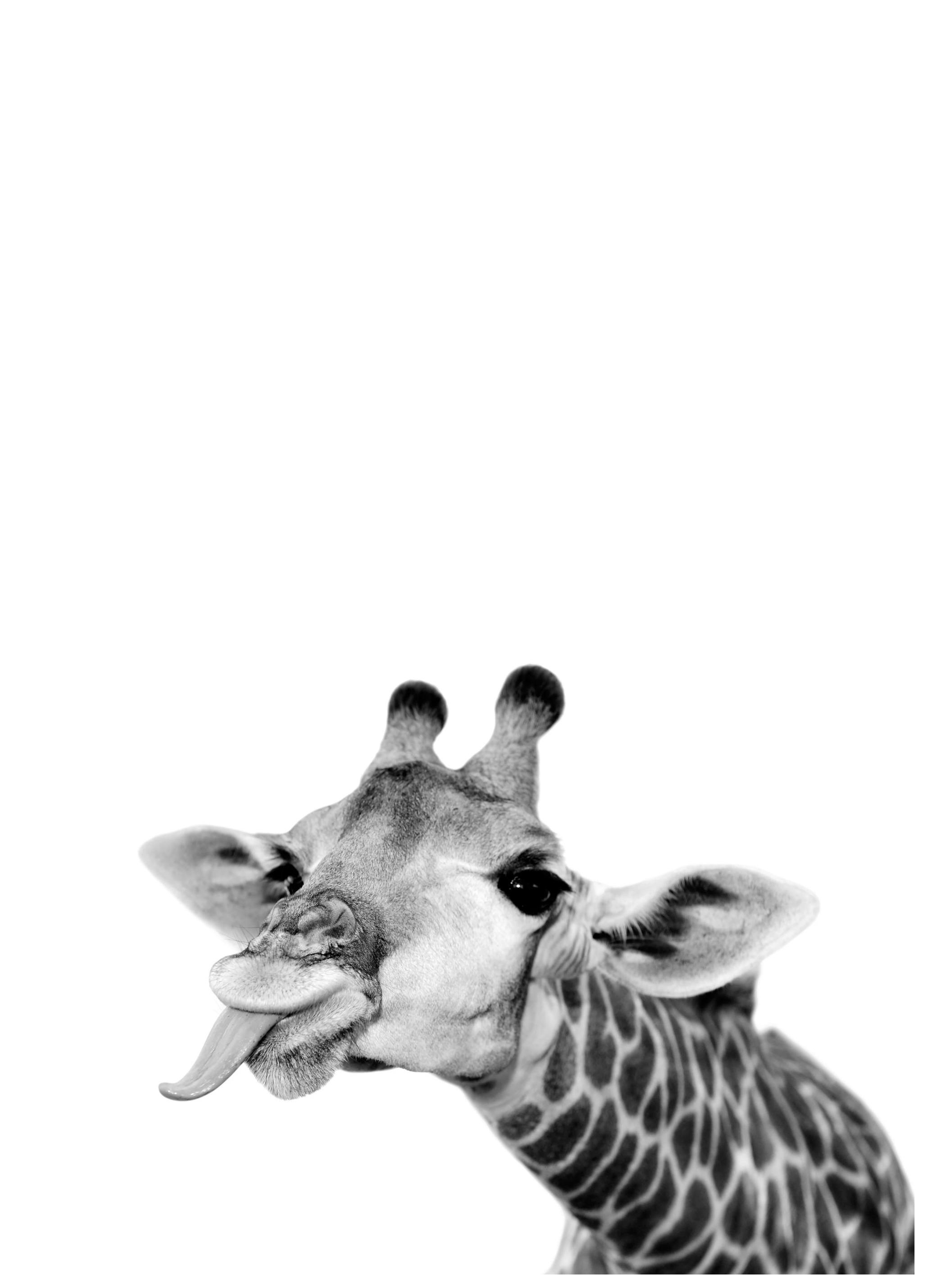 Goofy Giraffe Affiche (50x70 cm) - Affiches pour enfants