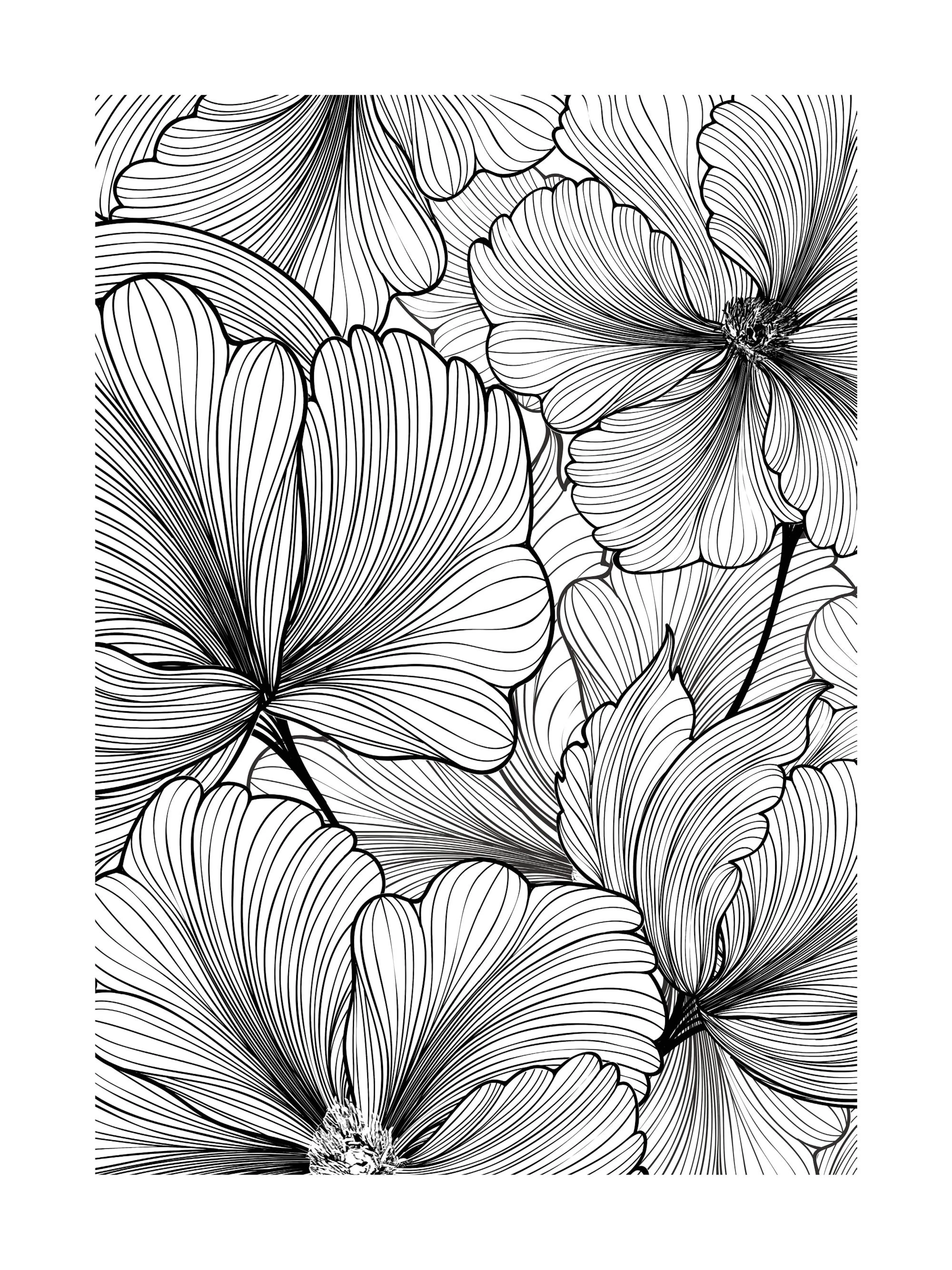 Poster floreale con petali a strisce e dettagli intricati in bianco e nero.