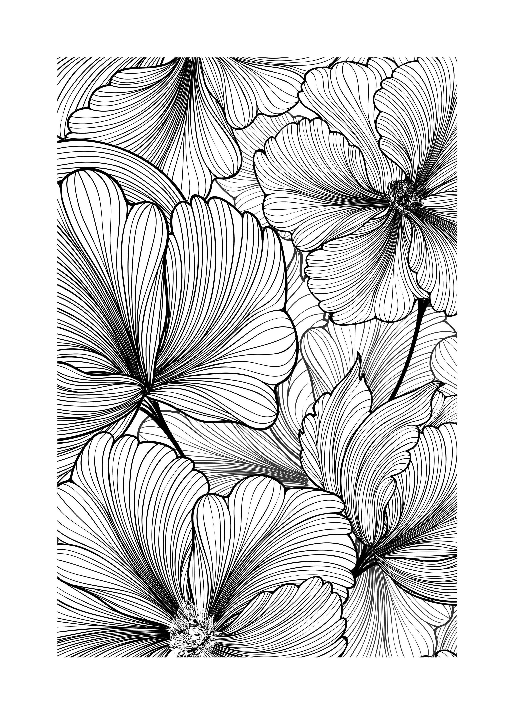 Floral Pattern Poster (50x70 cm)