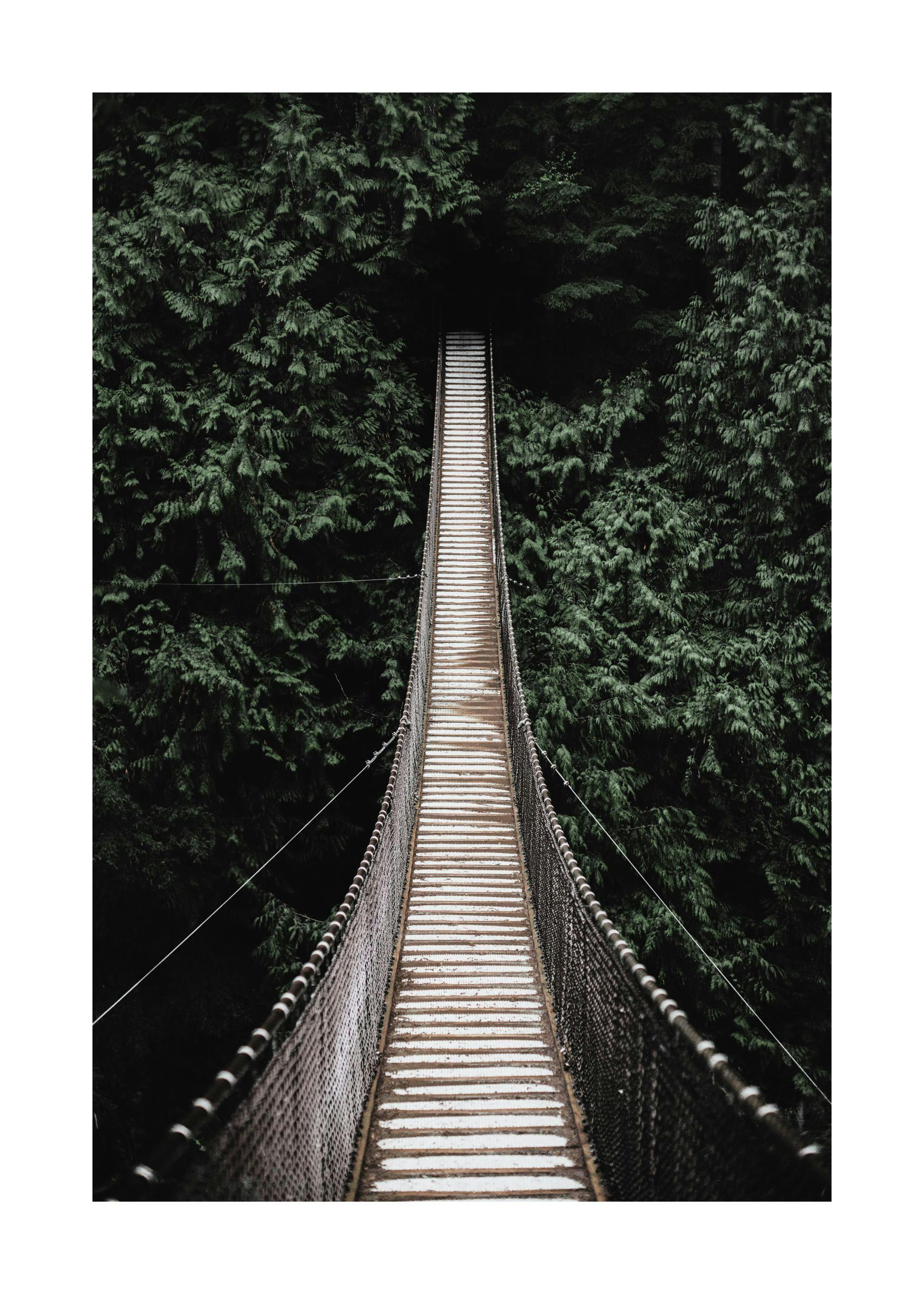 Forest bridge poster, long wooden suspension bridge above dark green forest with lush trees.