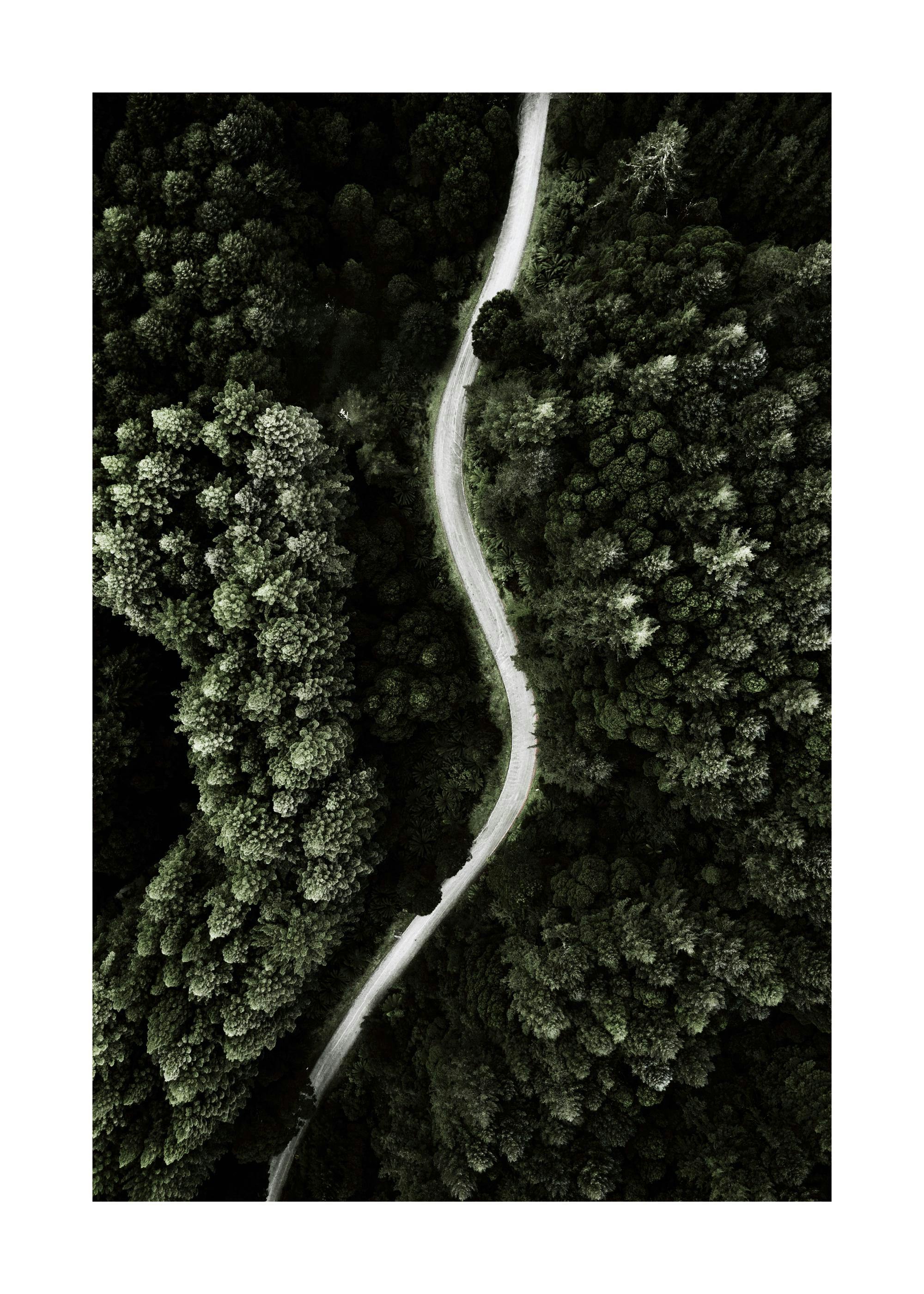 Flygfoto över en slingrande väg genom en tät grön skog. Naturmotiv, skogsposter.