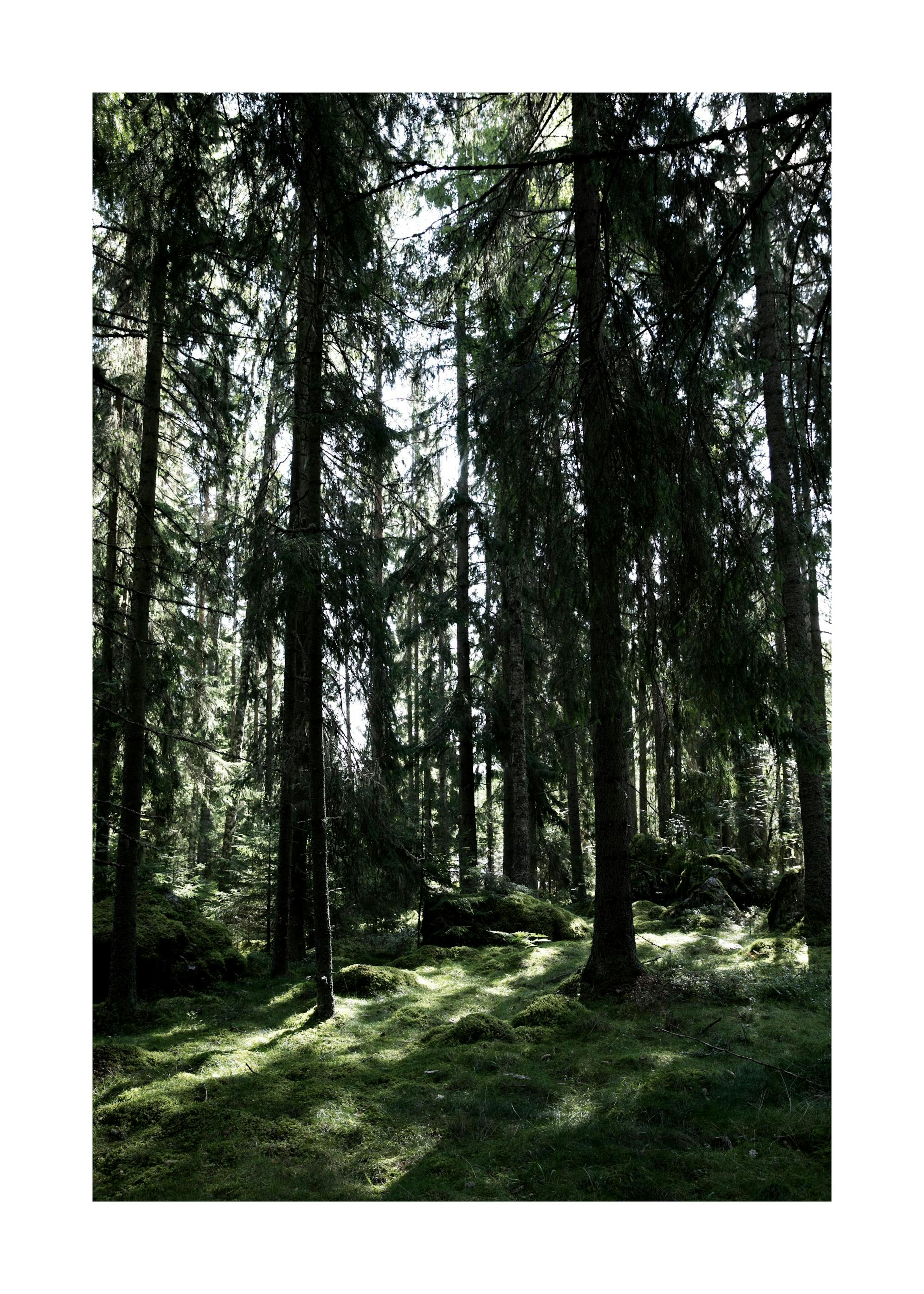 Product image: 1