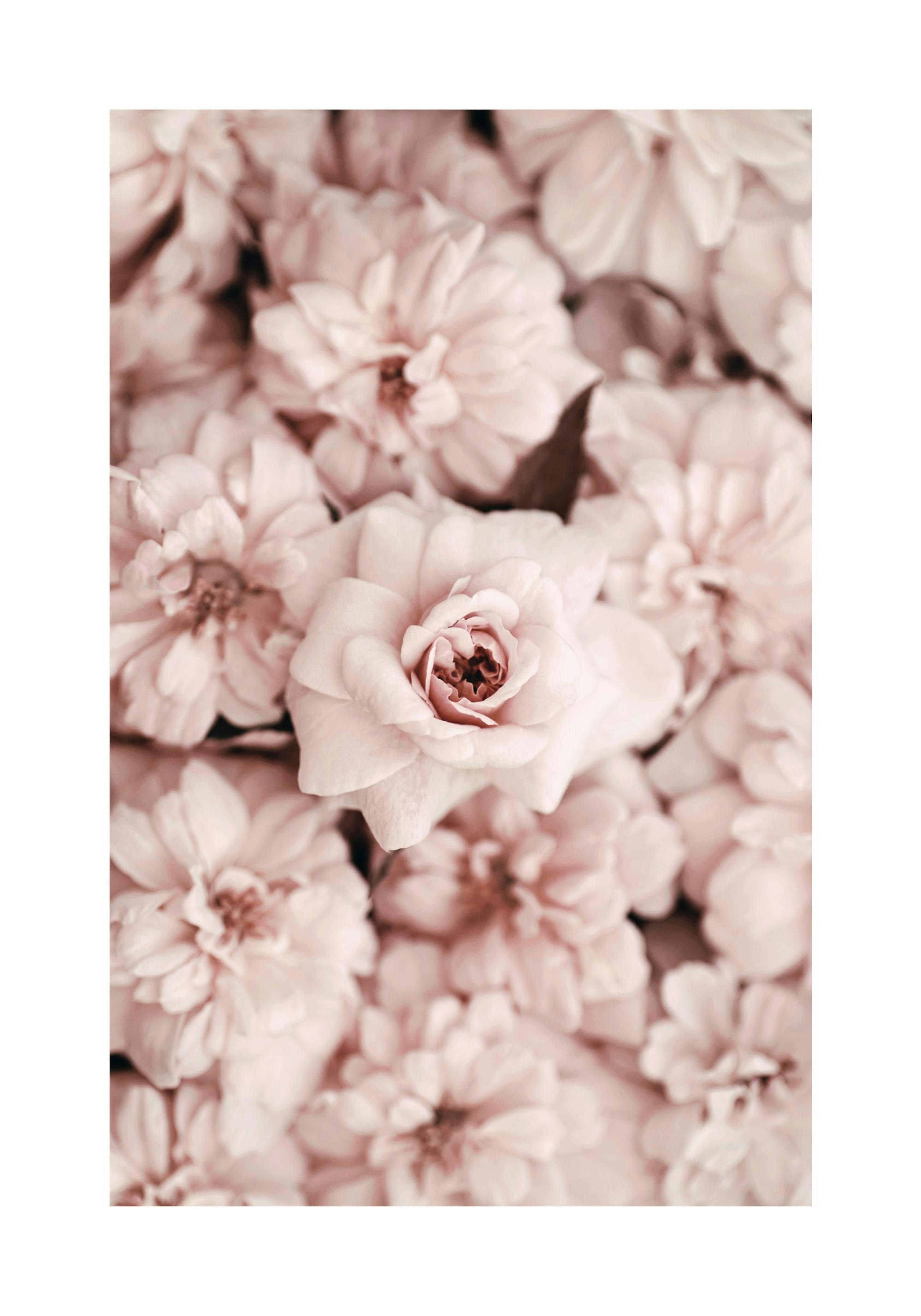 Product image: 1