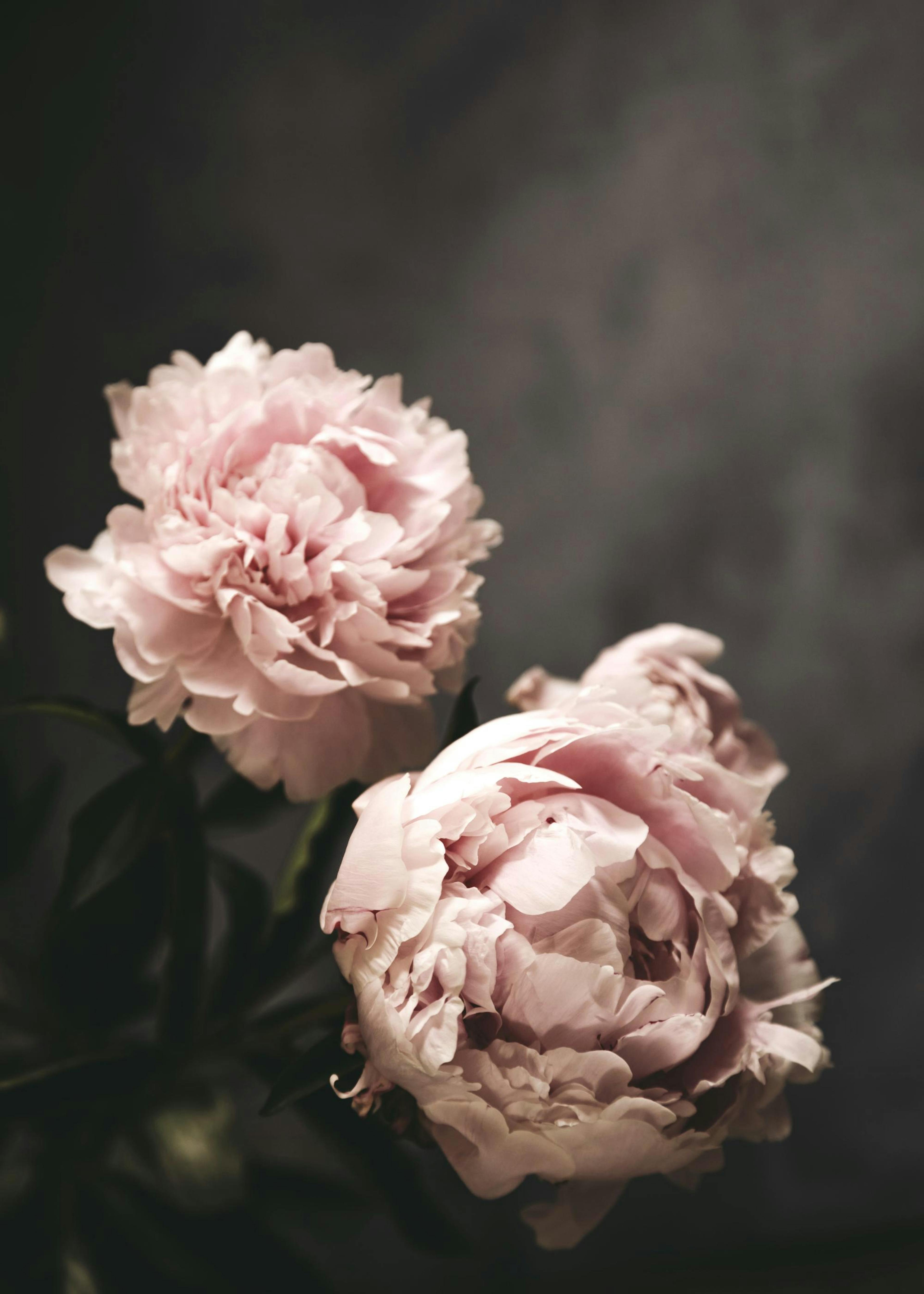 There's Beauty Poster 0