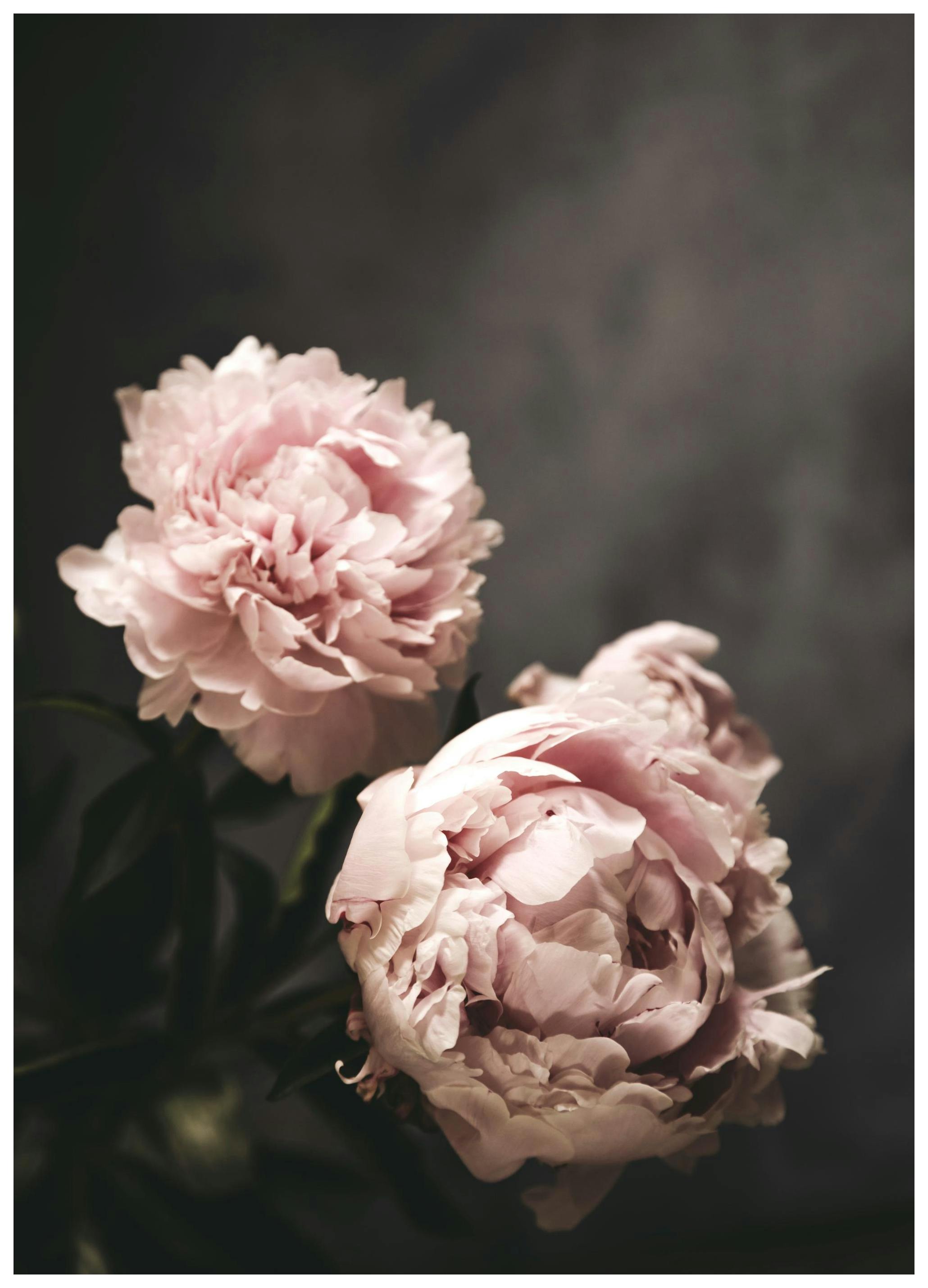 There's Beauty Poster (50x70 cm)