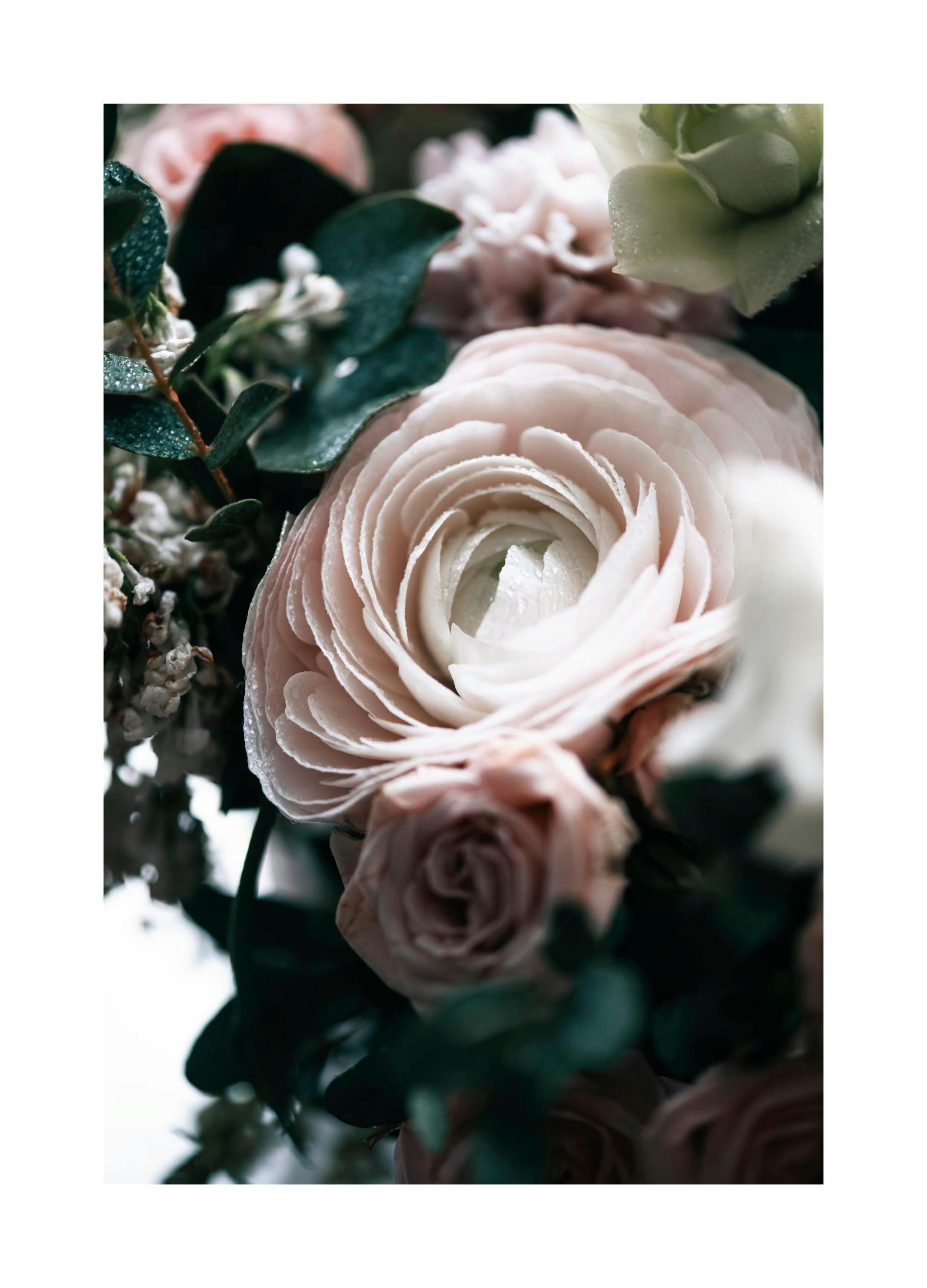 Boquet One Plakat (30x40 cm) - Plakater > Botaniske plakater > Blomsterplakater