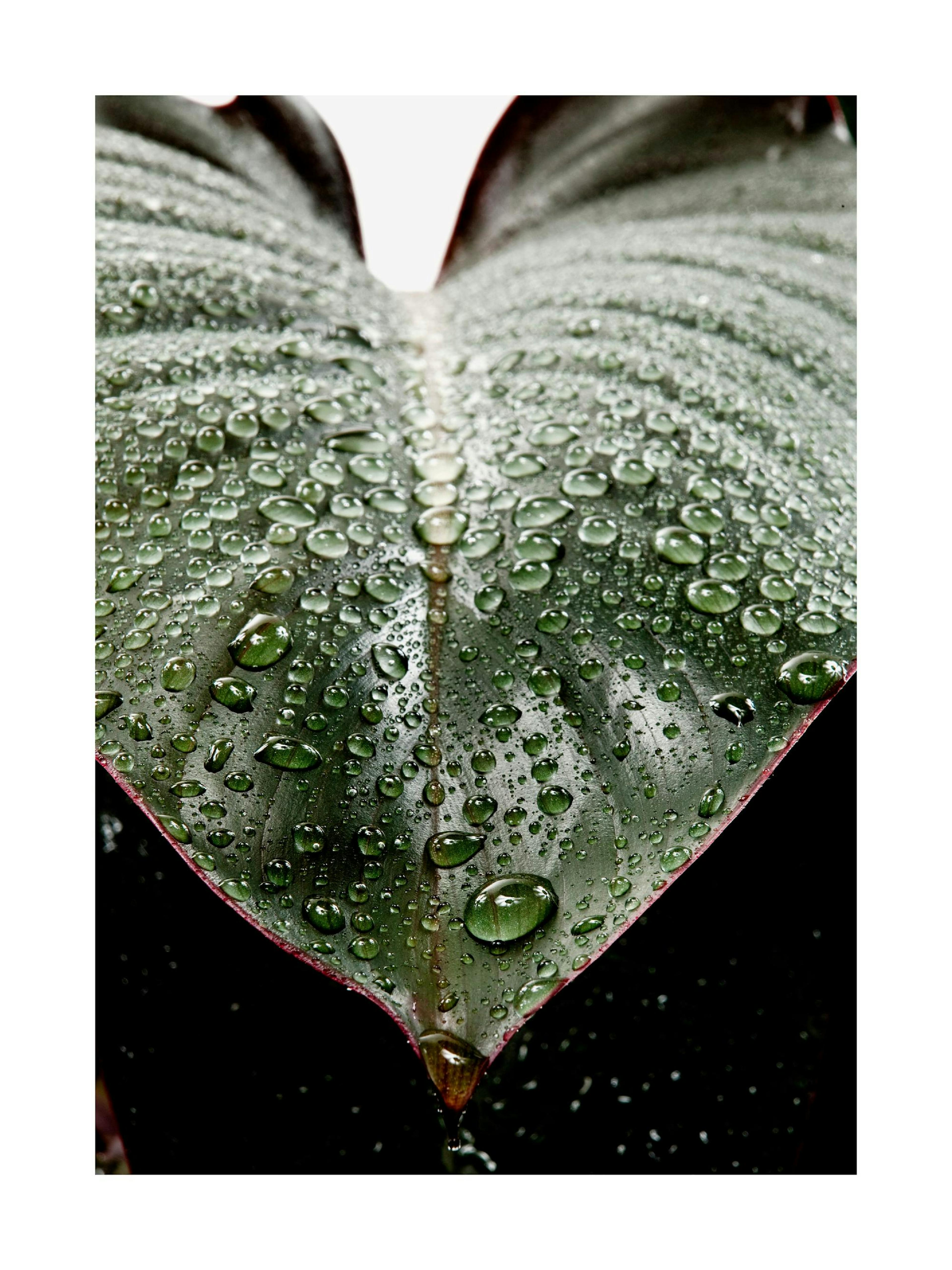 Product image: 1