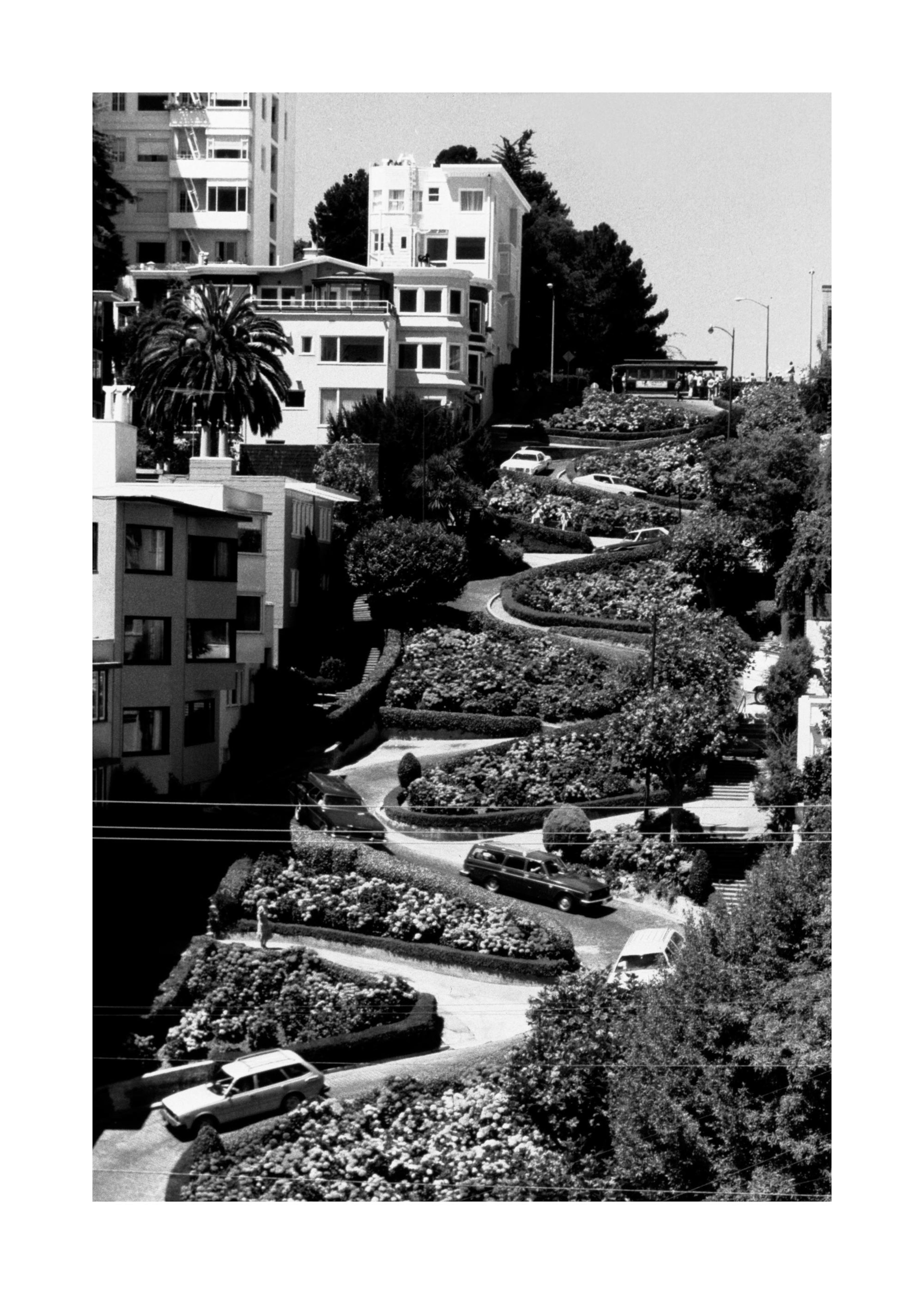 Black and white Lombard Street print, San Francisco poster, iconic winding road with cars and houses.