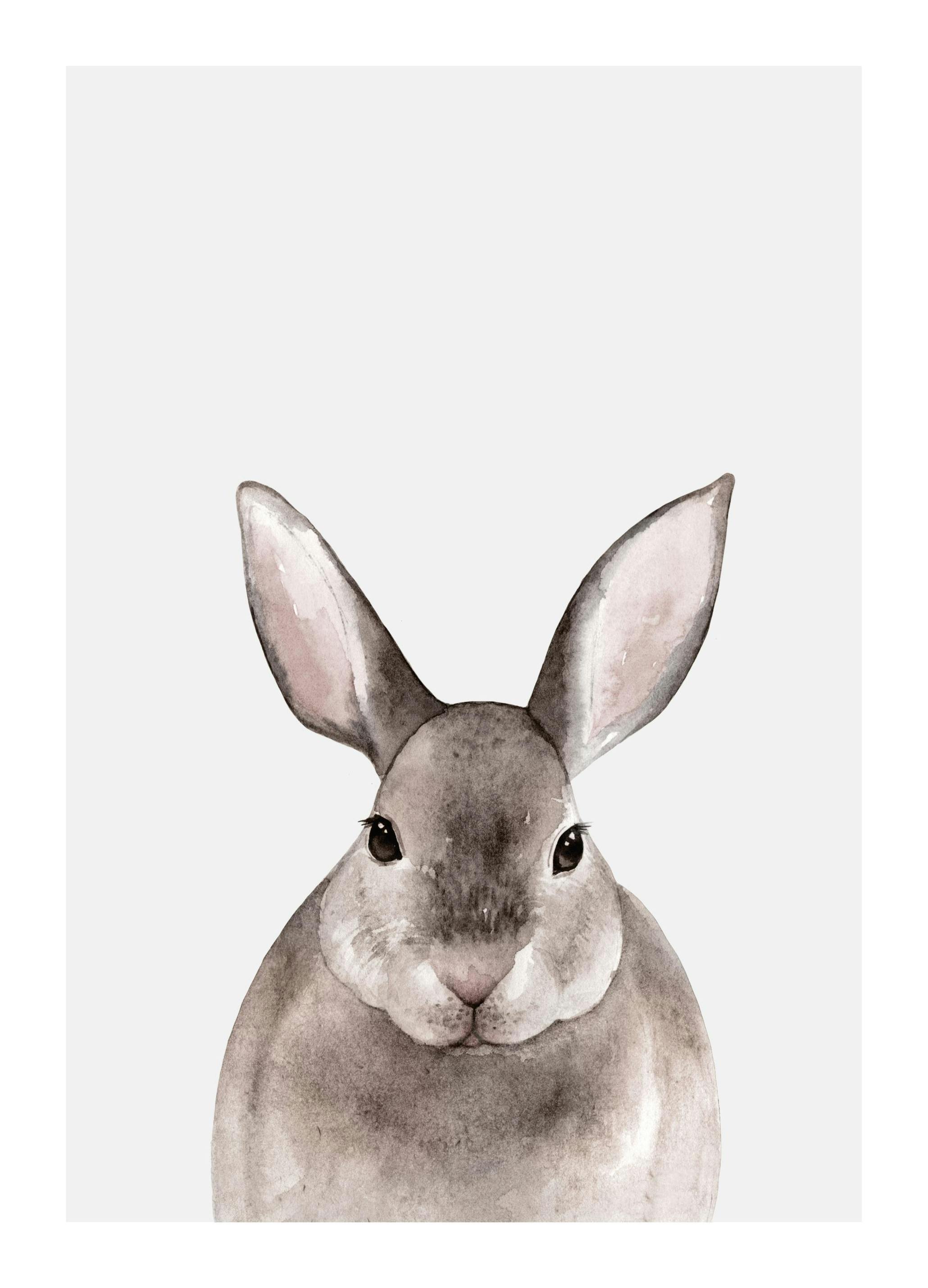 Little Rabbit Poster (21x30 cm) - Kinderposters