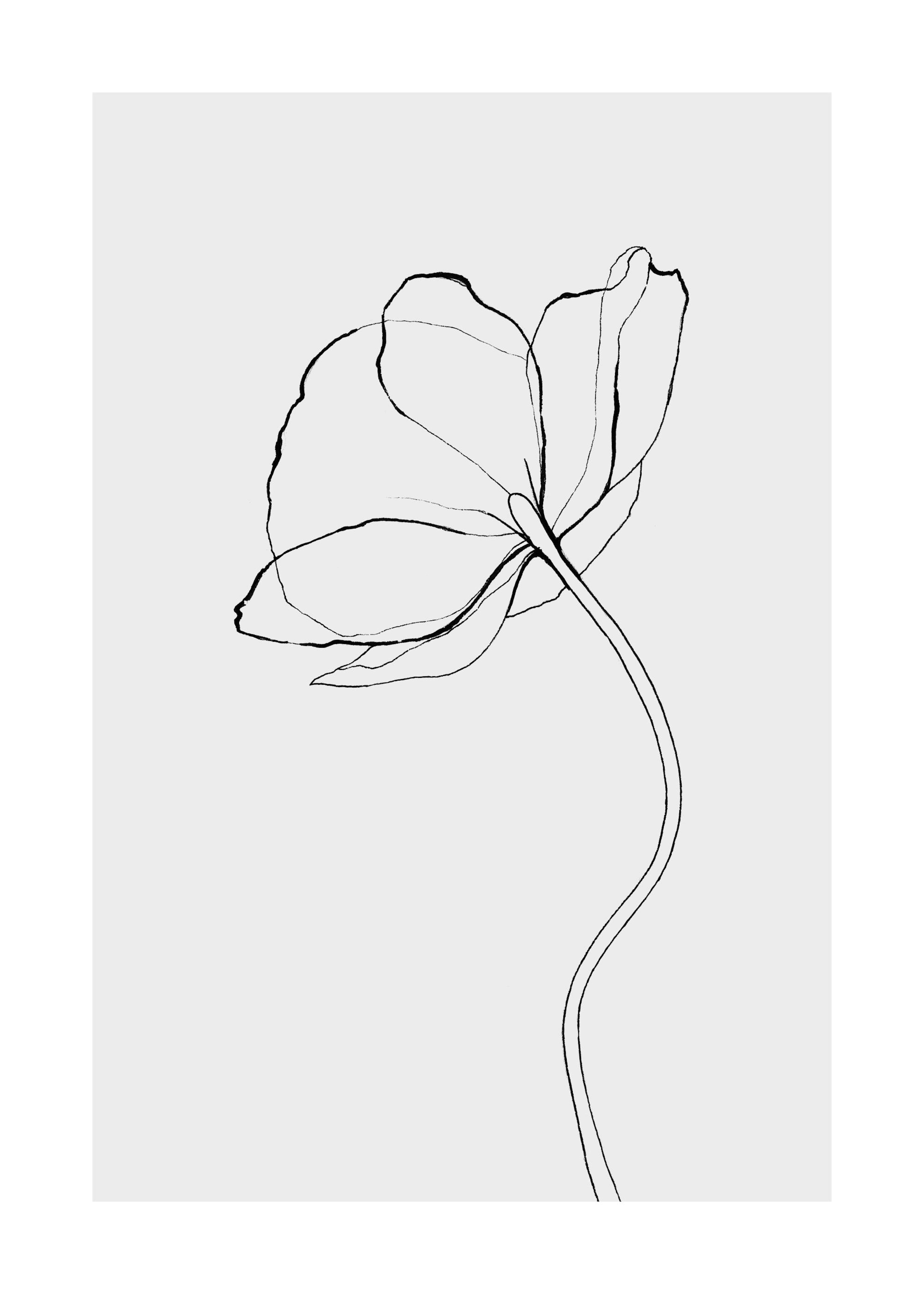 Line Poppy 포스터 0