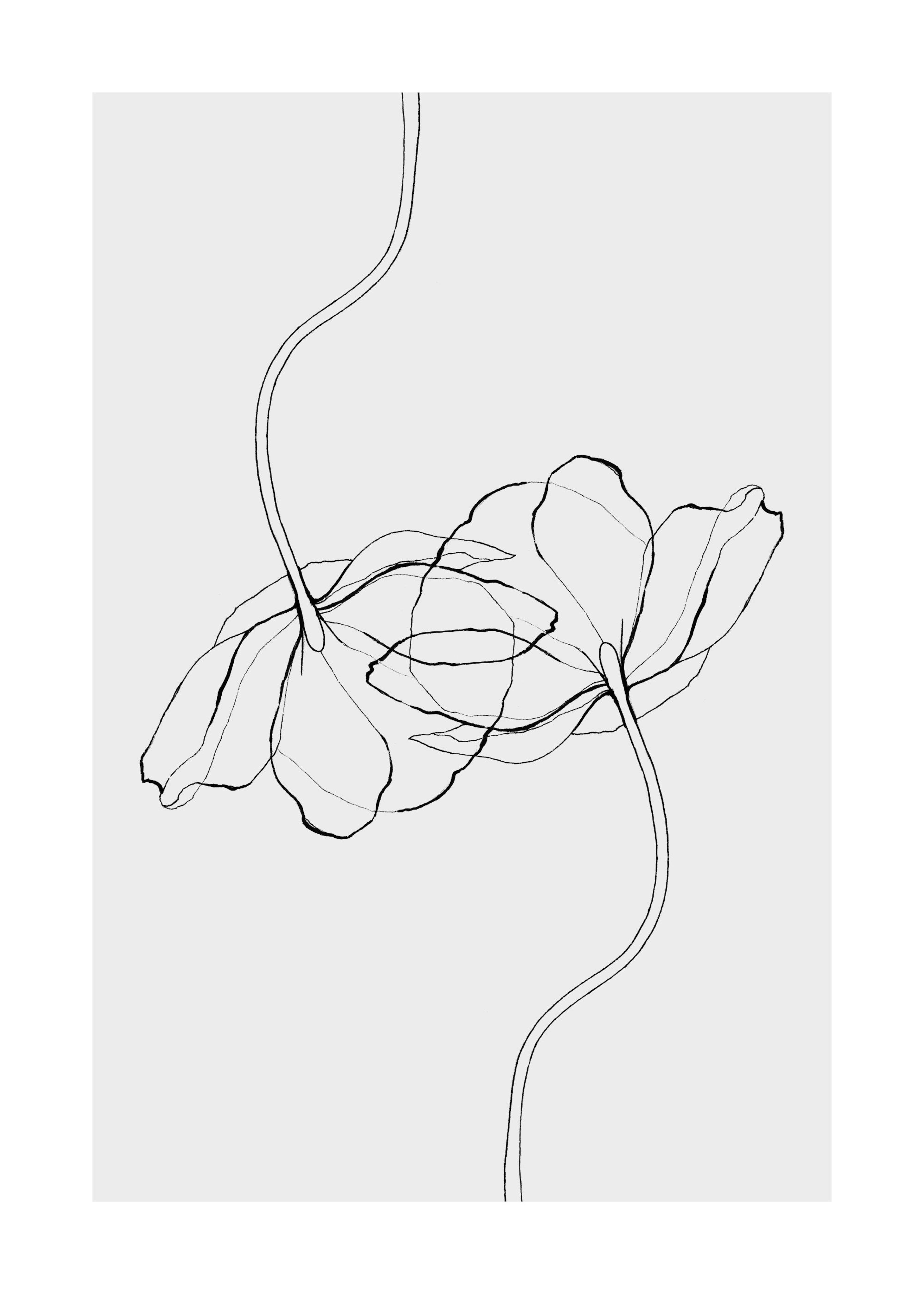 Line Poppies Print 0