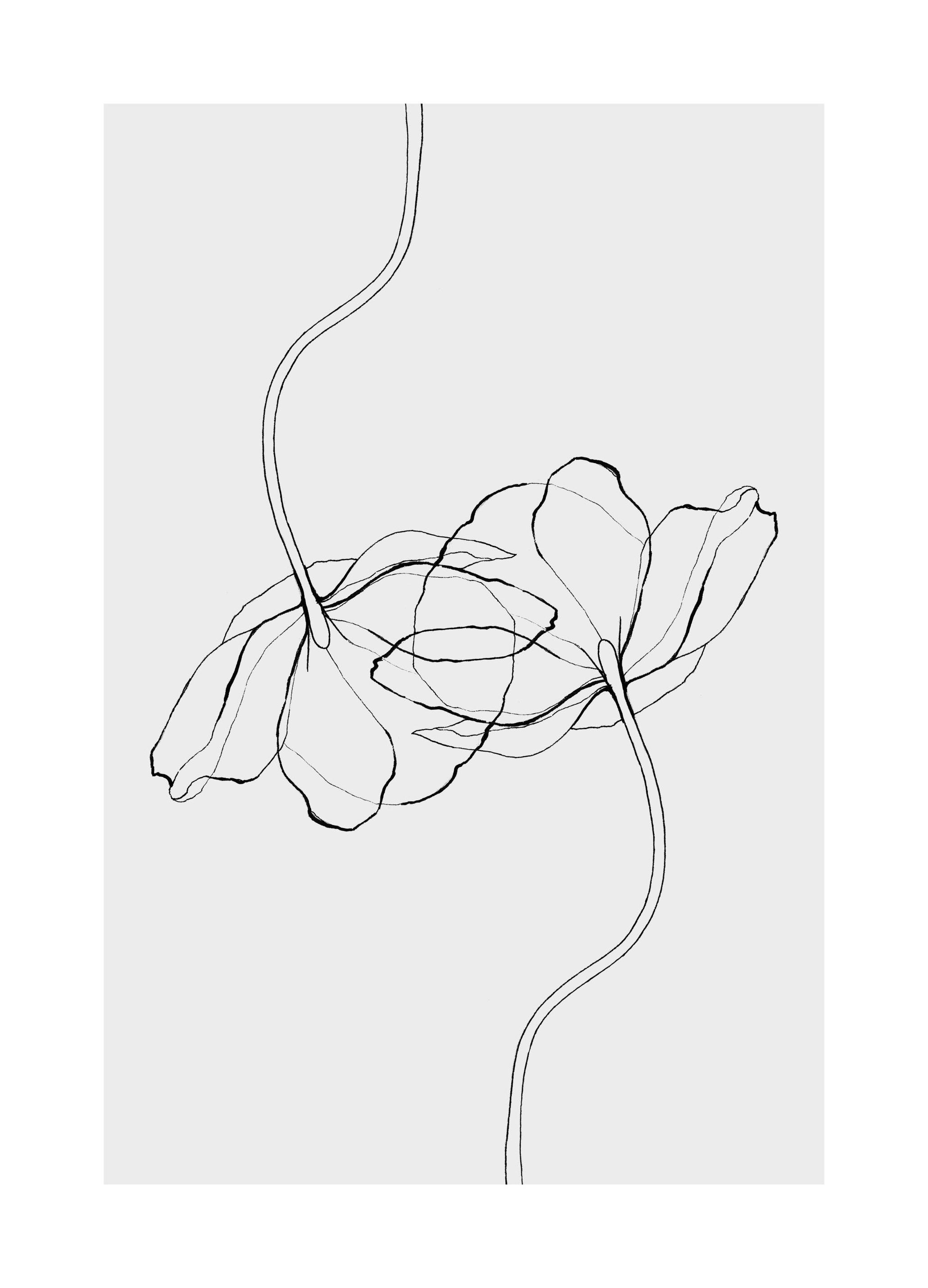 Line Poppies Poster (21x30 cm)