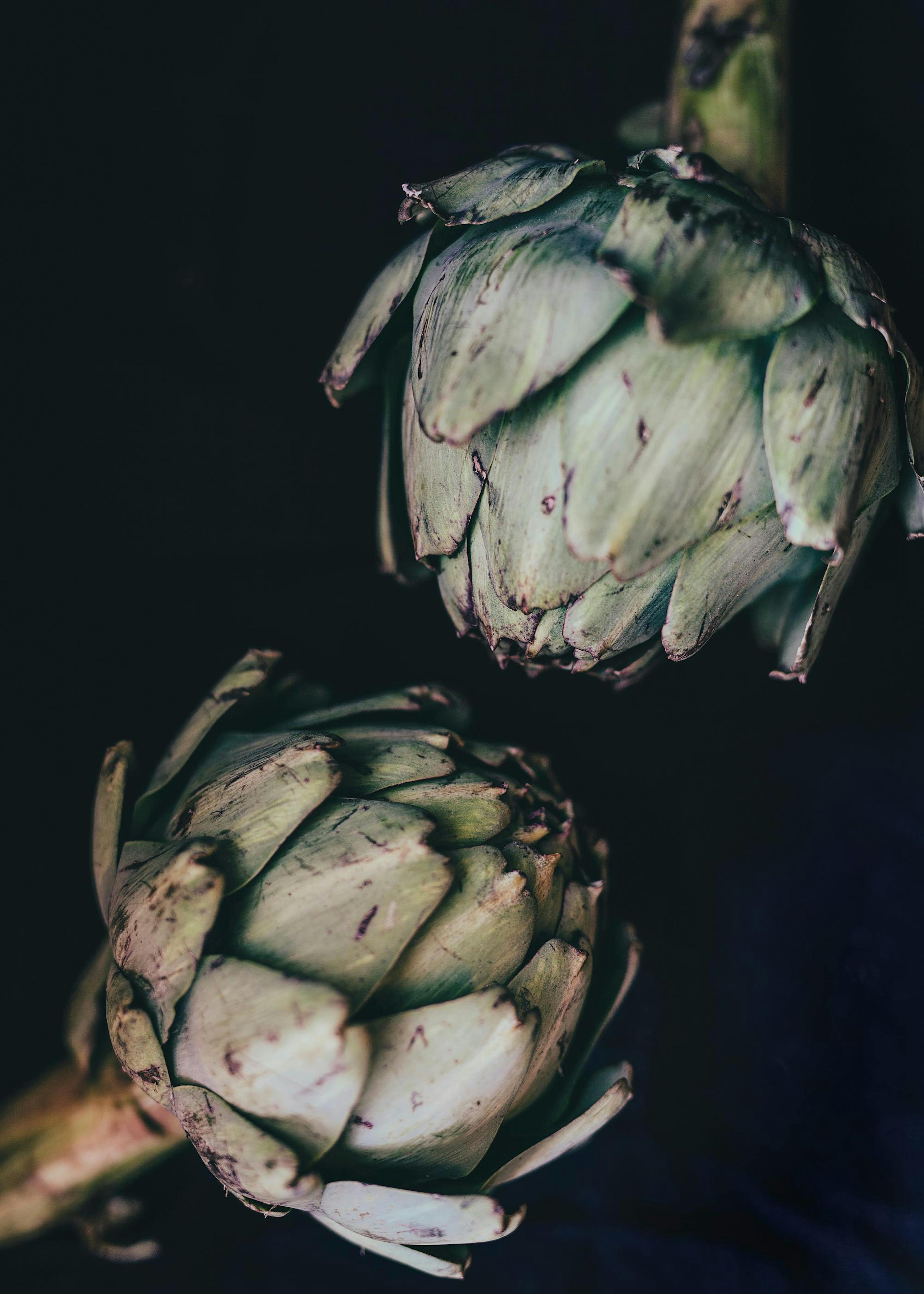 Artichokes Print 0