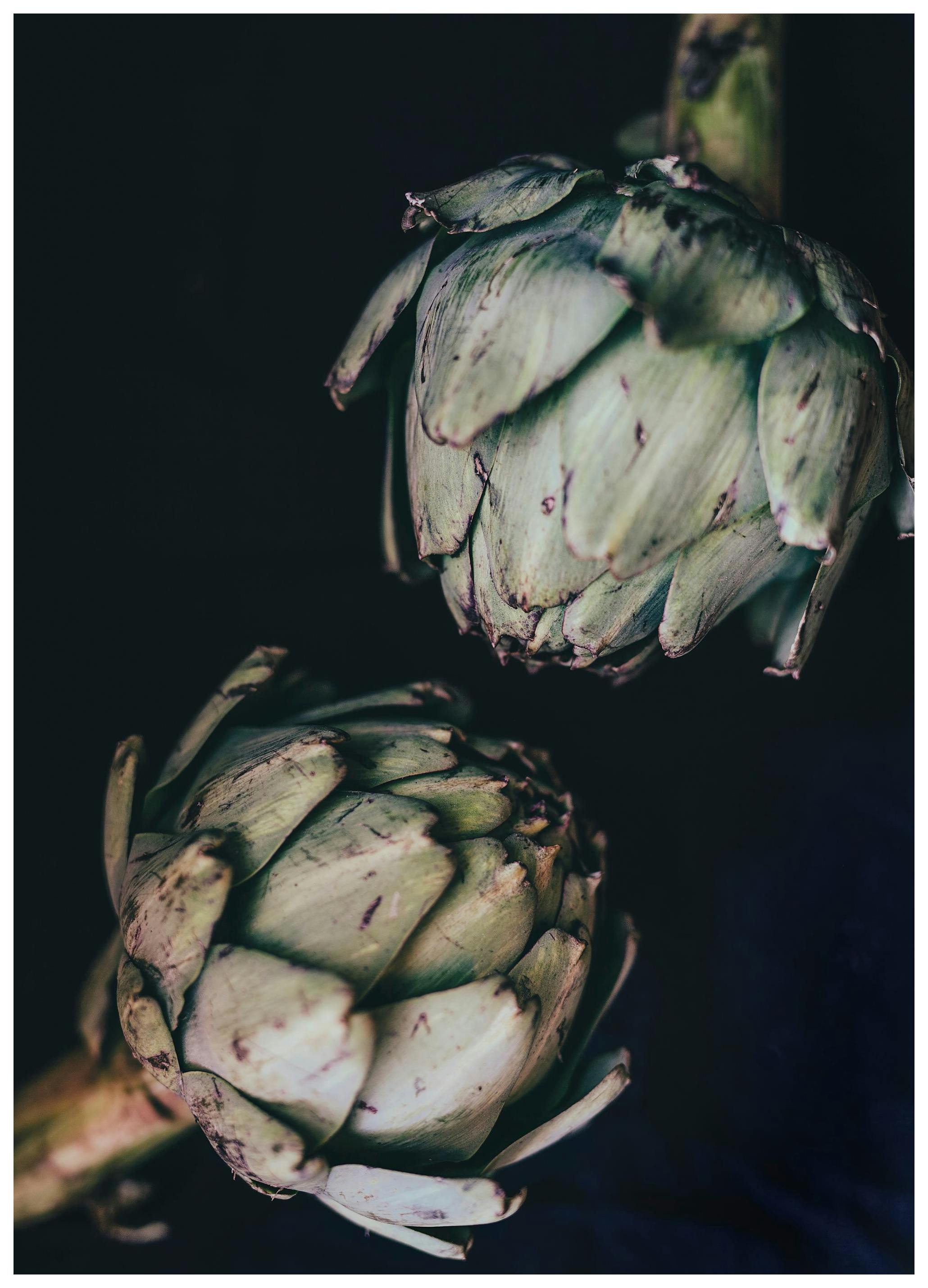 Artichokes Plakat (30x40 cm) - Plakater > Kjøkkenplakater