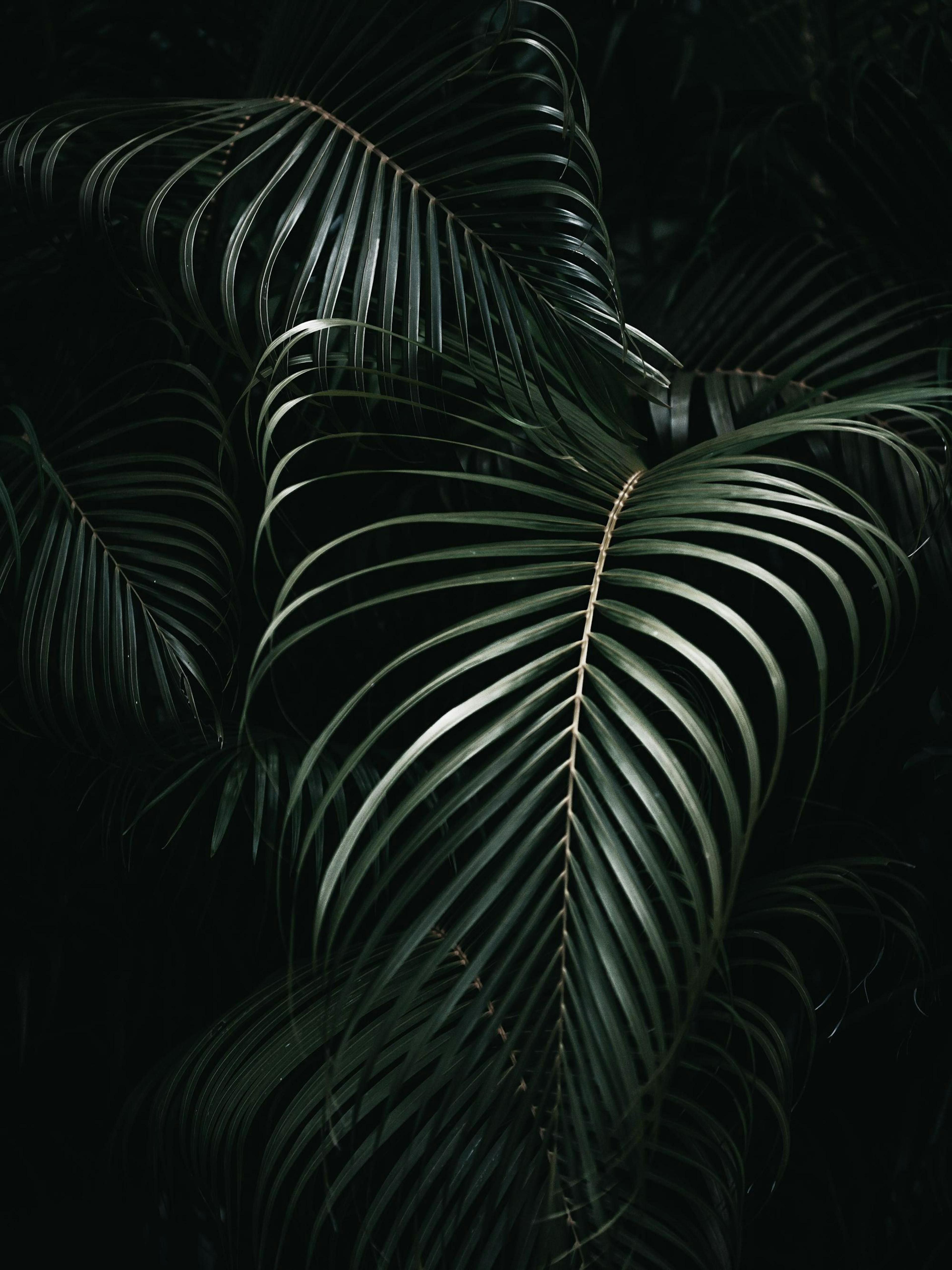 Product image: 1