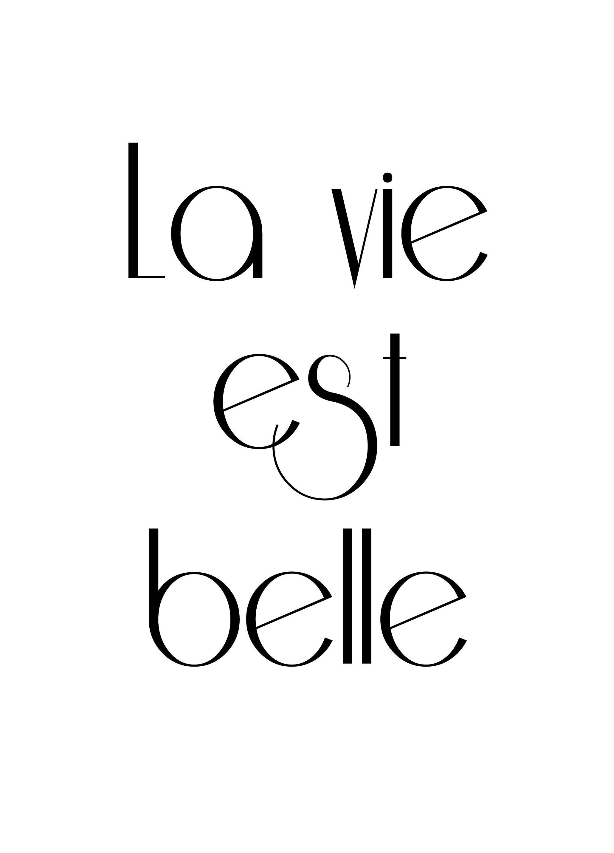 La Vie Est Belle, Affisch (21x30 cm) - Zwart wit posters