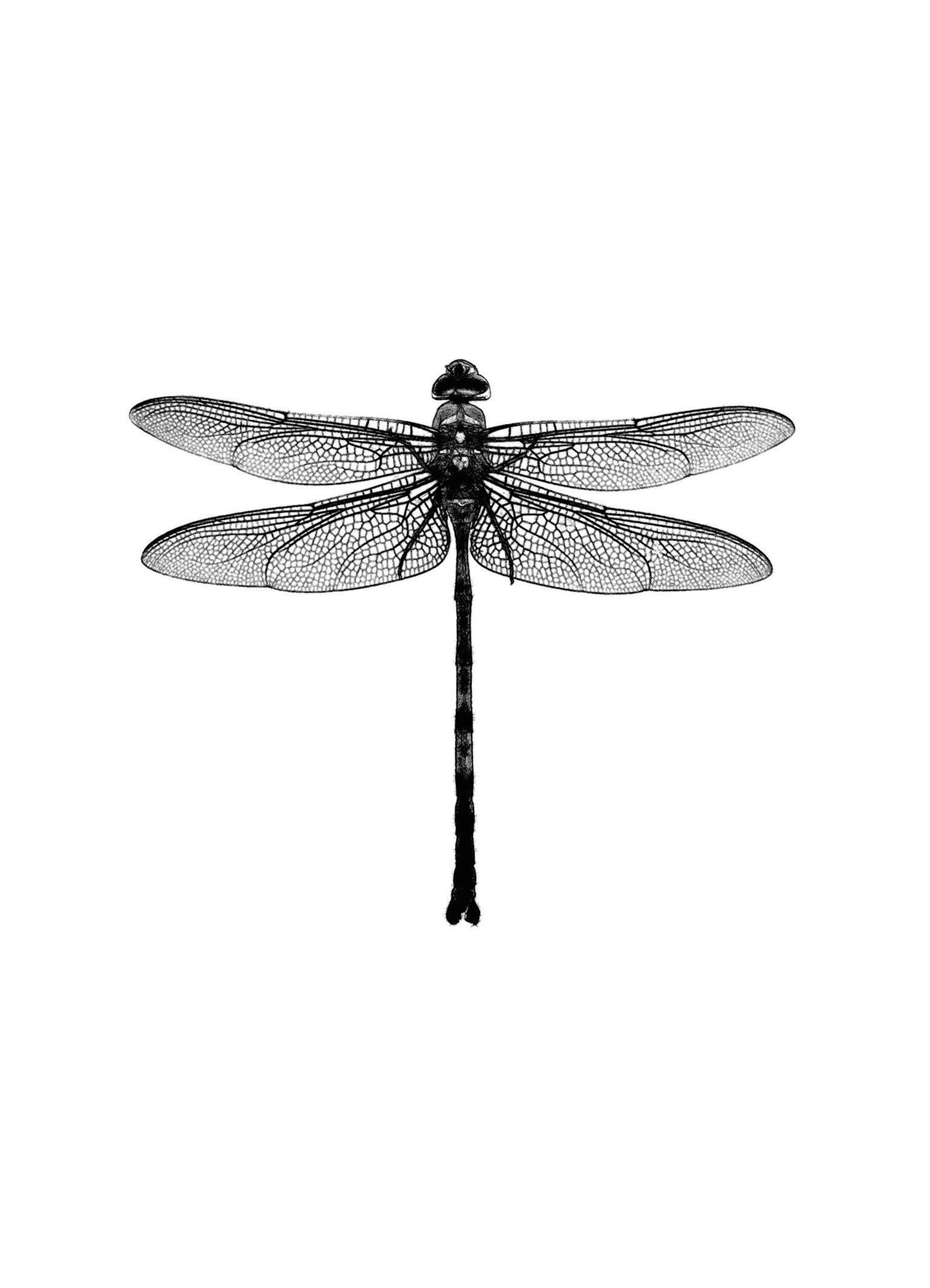 Product image: 1