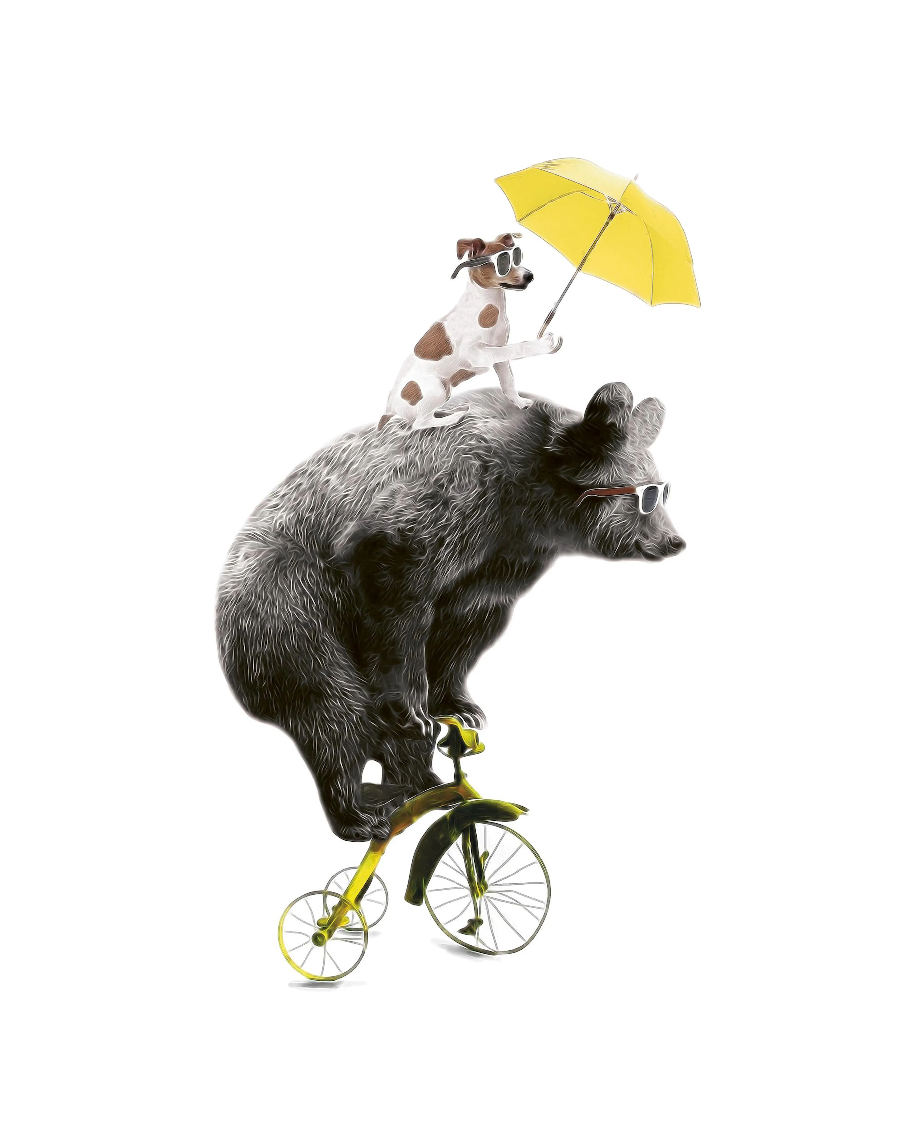 Affiche ours sur un vélo jaune avec un chien tenant un parapluie, tous deux portant des lunettes de soleil