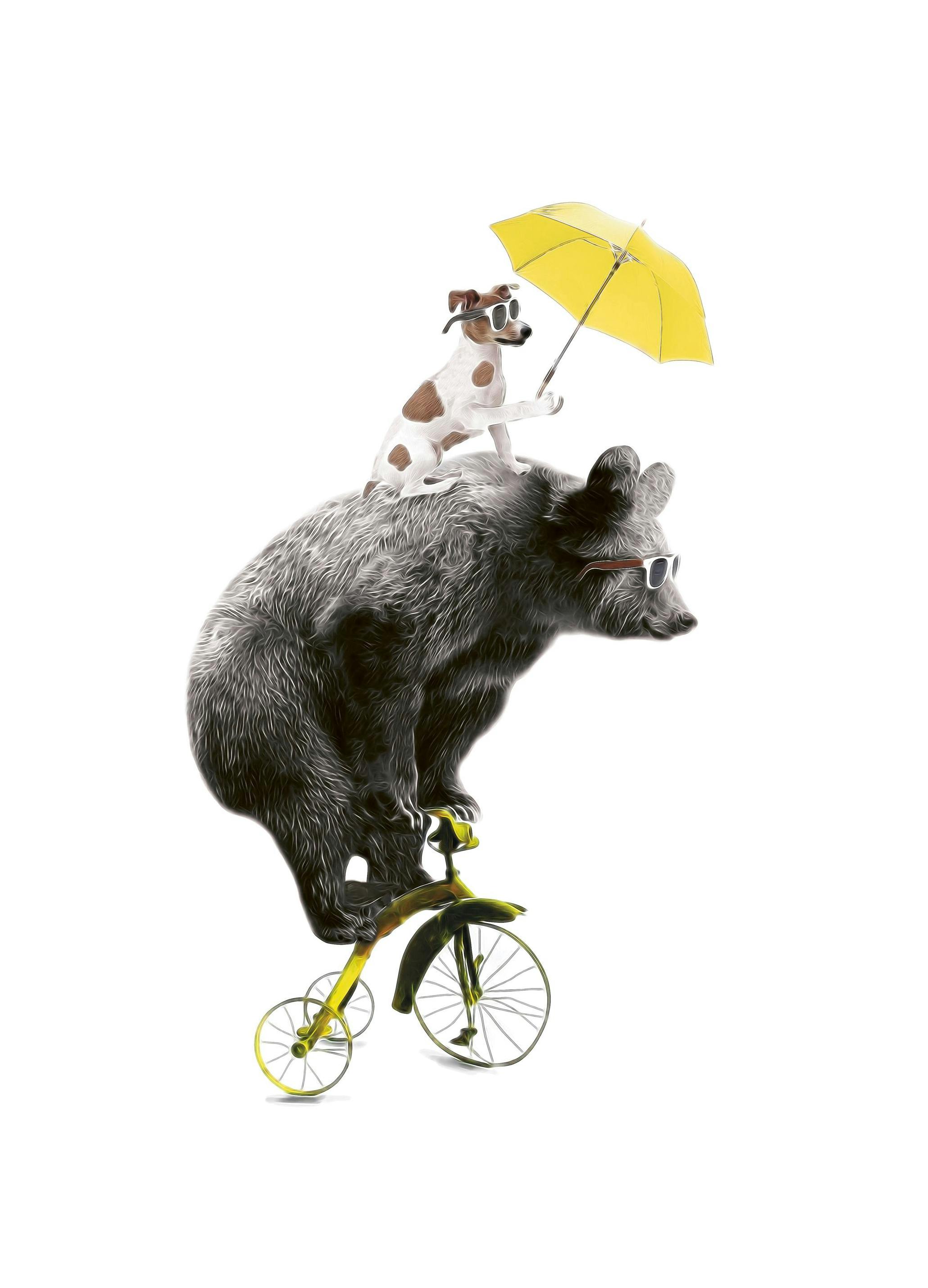 Bear On Yellow Bike, Poster (50x70 cm) - Kinderposters