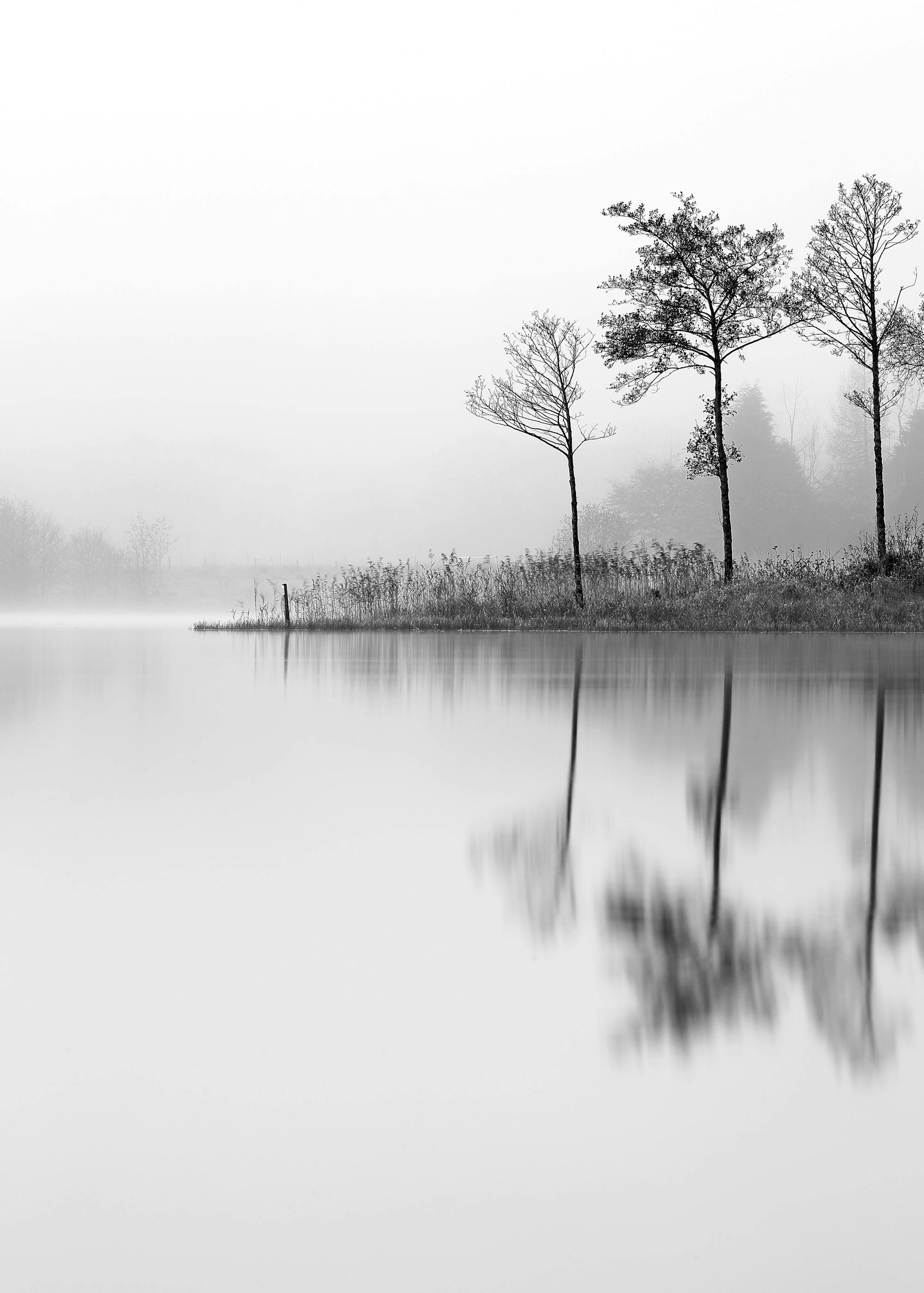 Lake, 포스터 0