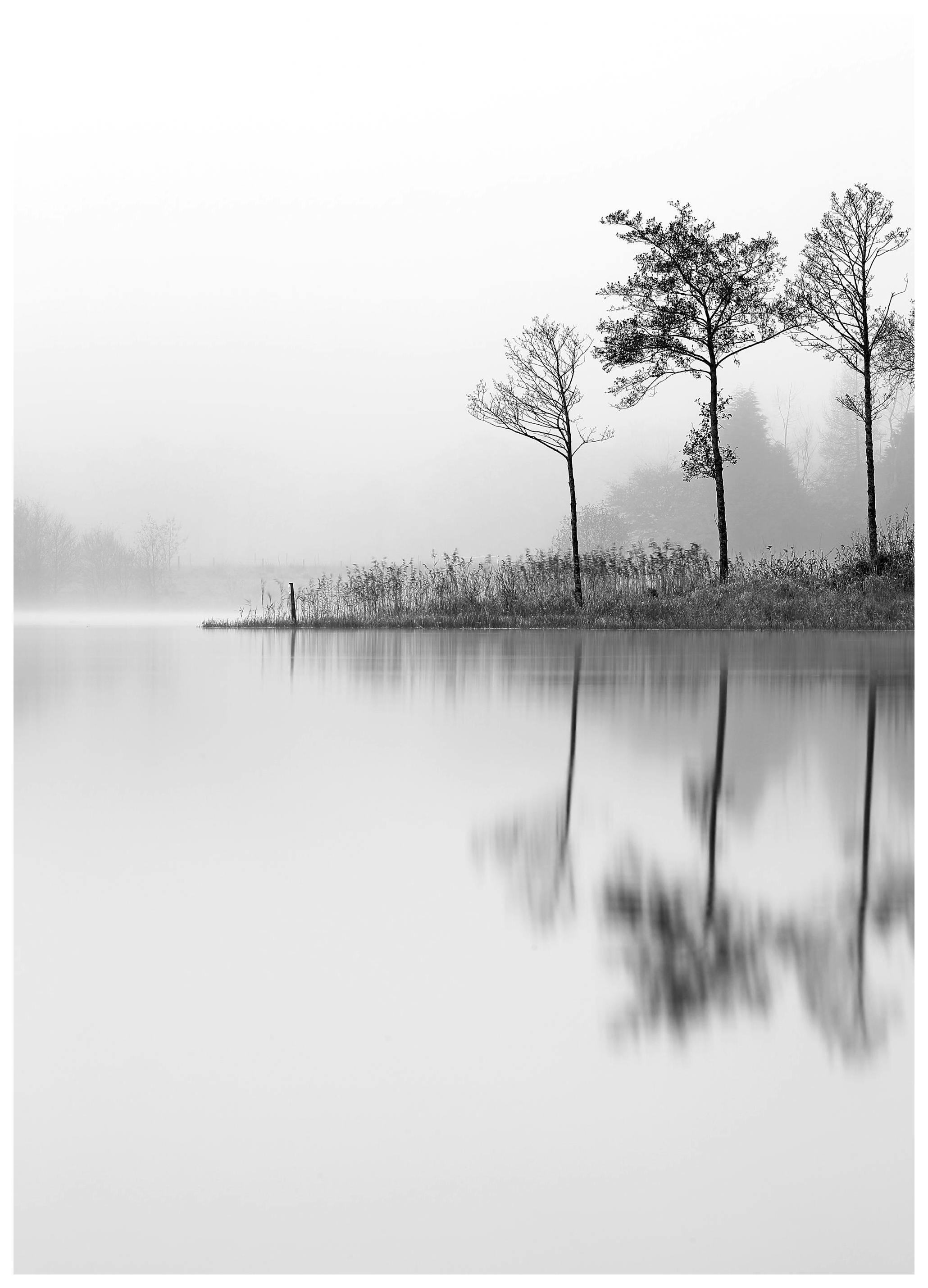 Lake, Posters (70x100 cm) - Zwart wit posters