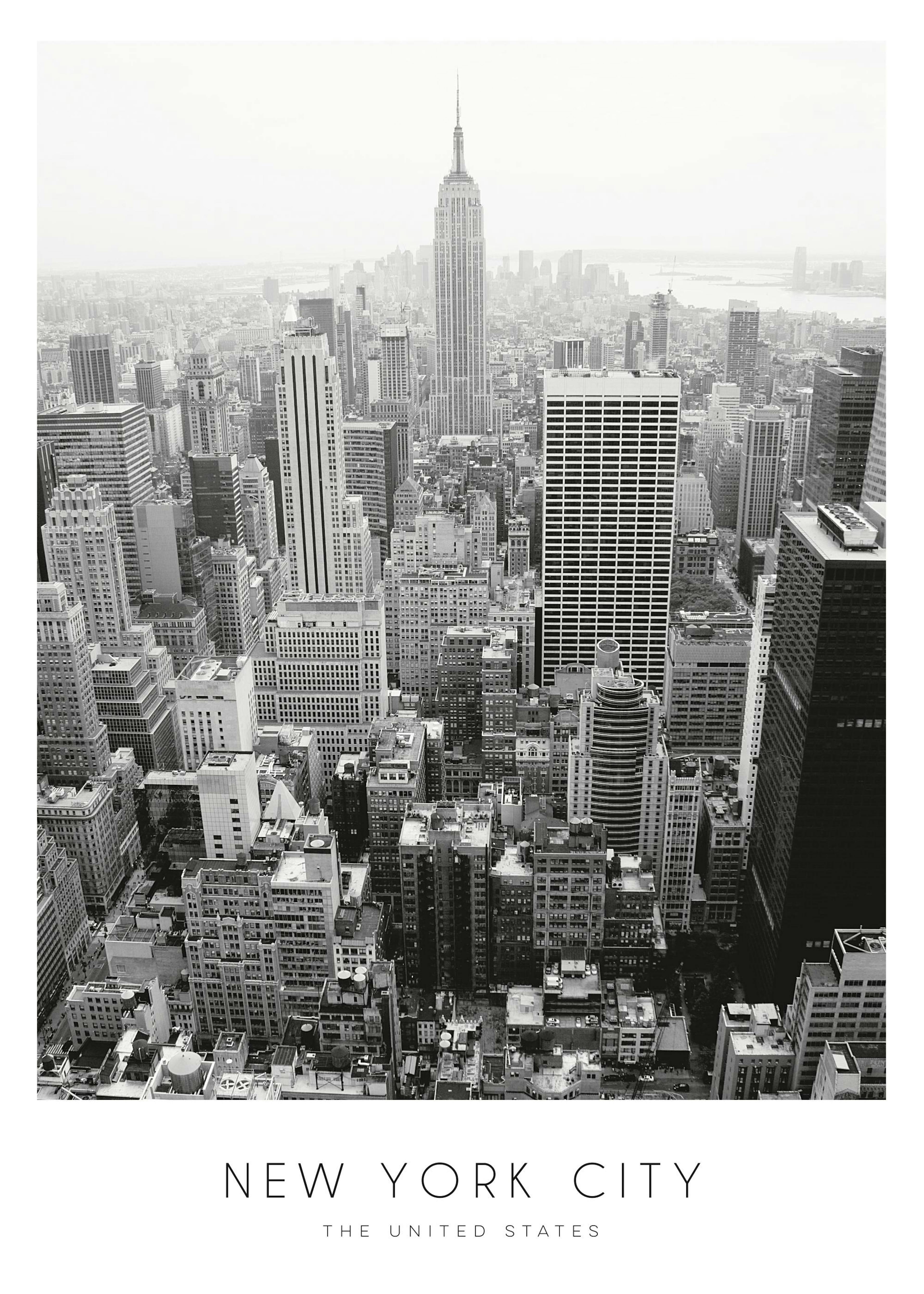 New York City Poster 0
