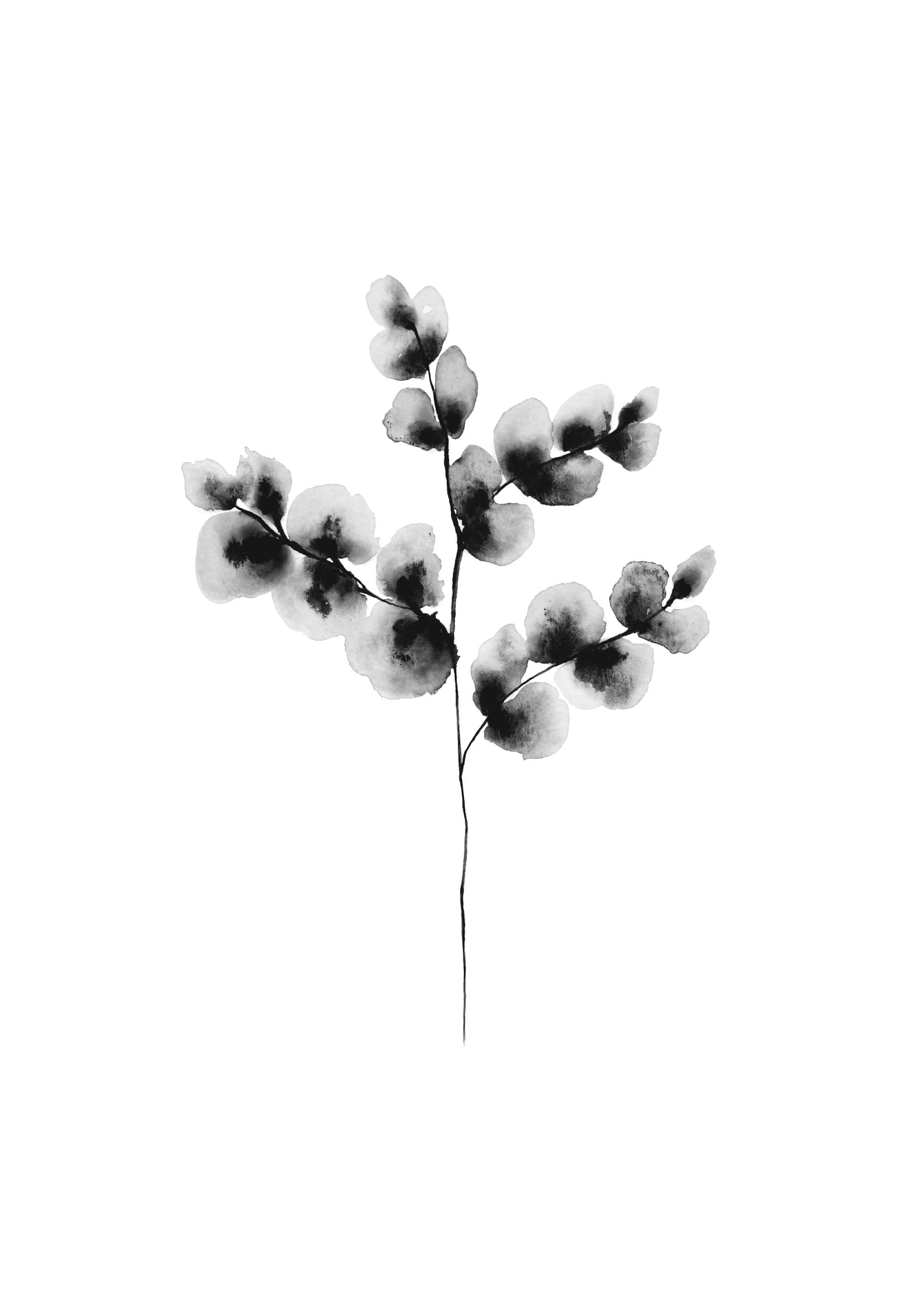 Cotton Plant, Print 0