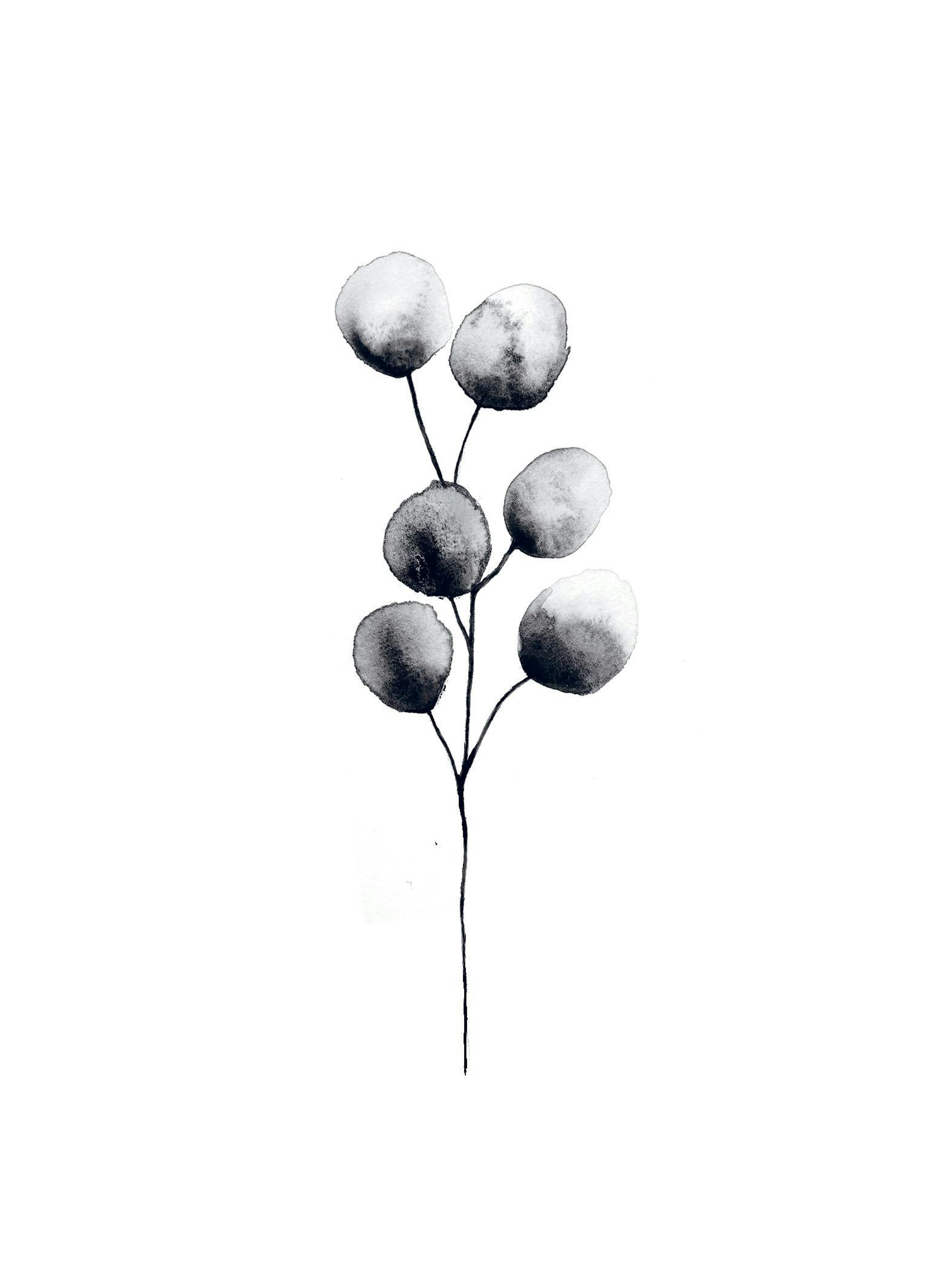 Product image: 1