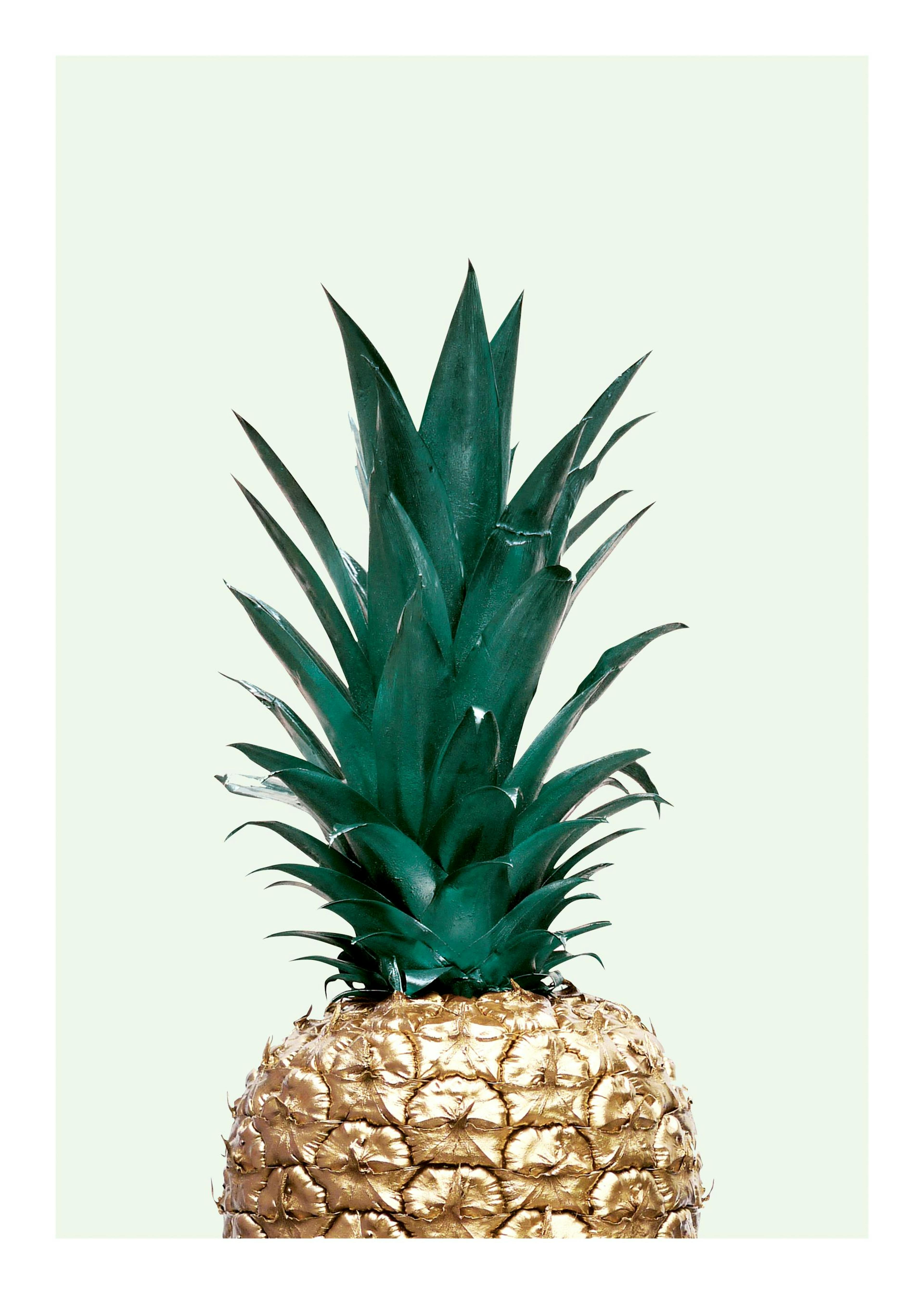Green Pineapple, Plagát 0