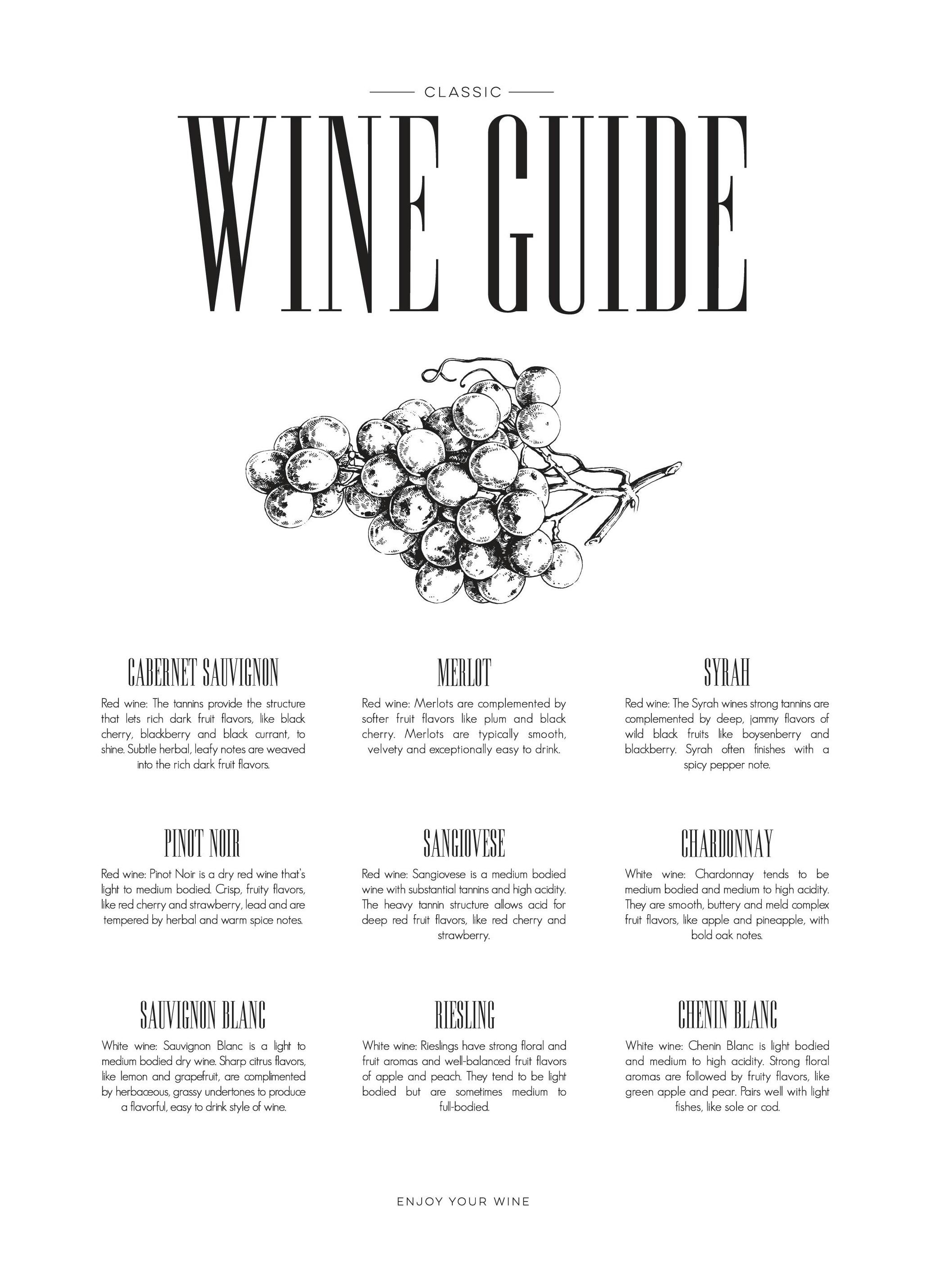 Wine Guide Poster (21x30 cm)- Poster per la cucina