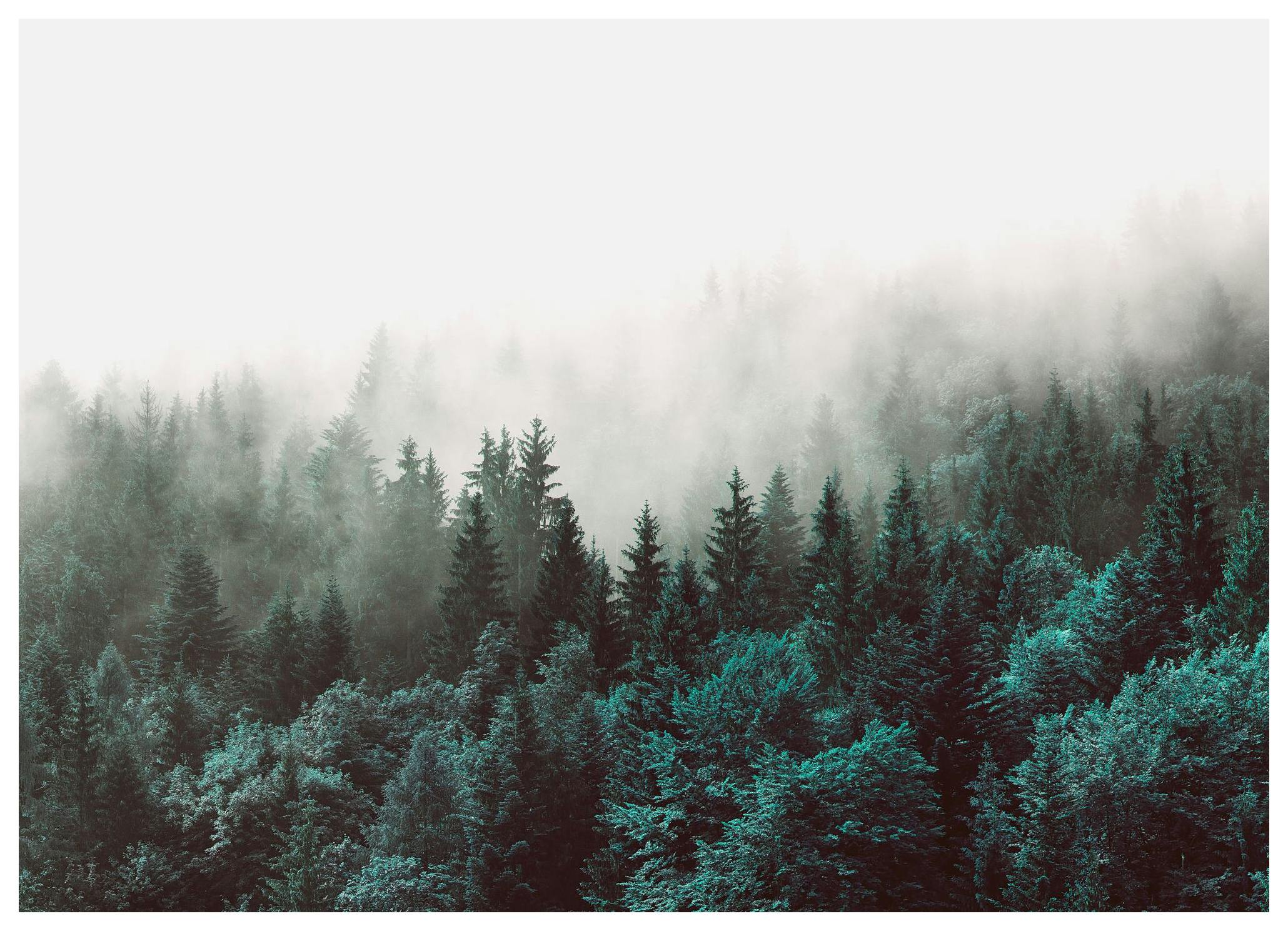 Green Forest Poster (21x30 cm)