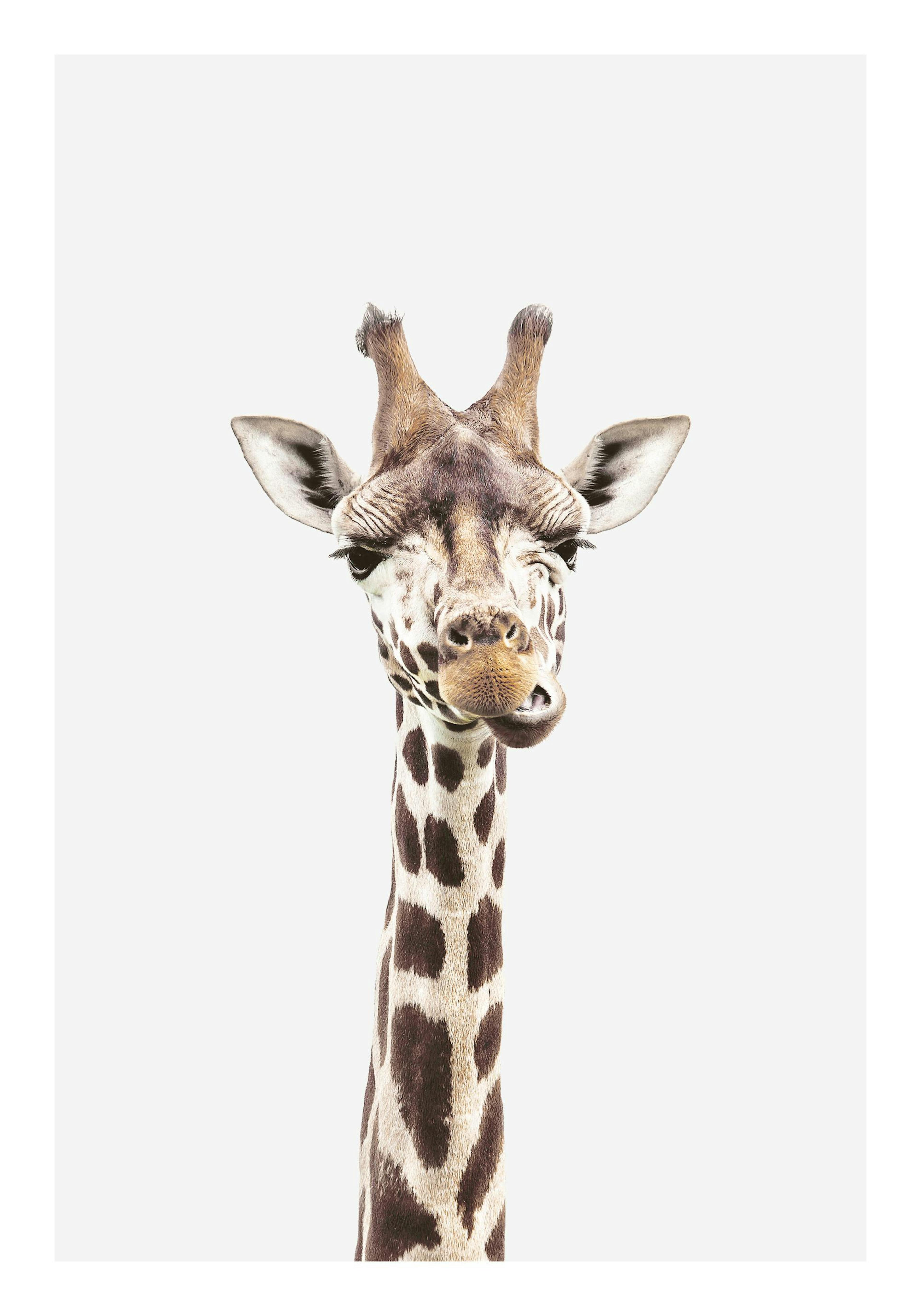 Product image: 1